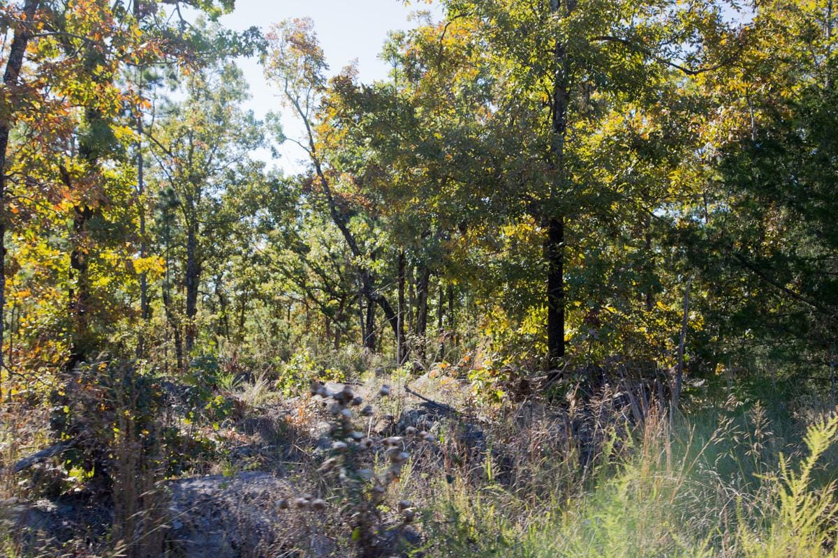 Stone Creek Phase I Tract 163 photo 8