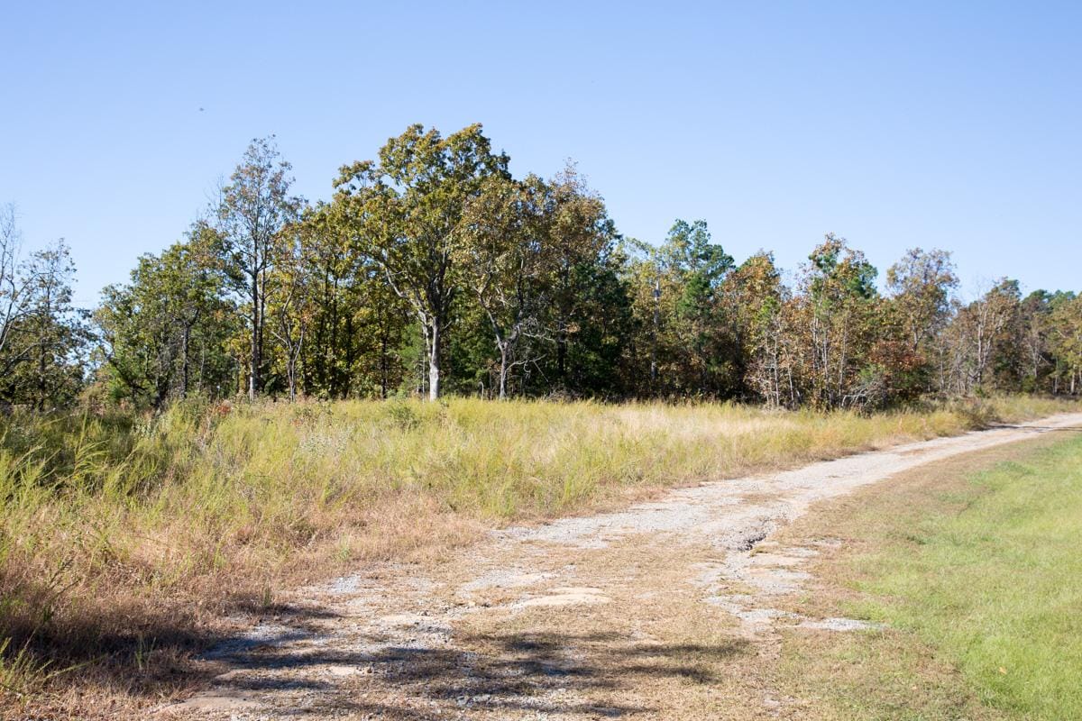 Stone Creek Phase I Tract 163 photo 9