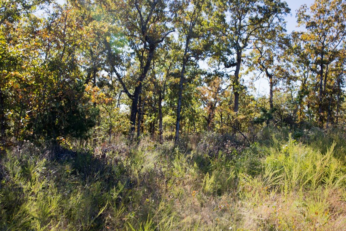 Stone Creek Phase I Tract 163 photo 10