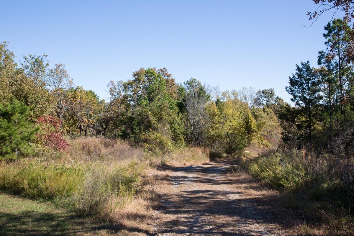 Stone Creek Phase I Tract 163 photo 11