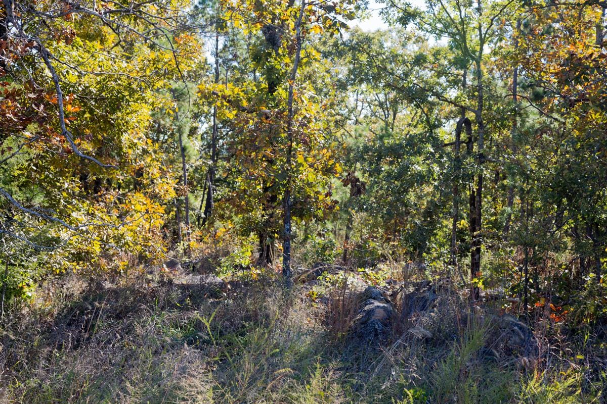 Stone Creek Phase I Tract 163 photo 12