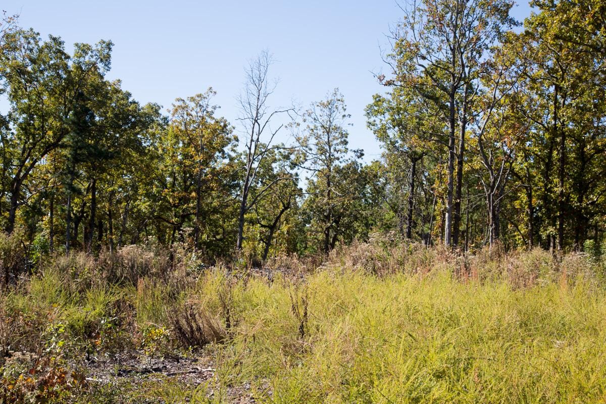 Stone Creek Phase I Tract 163 photo 13