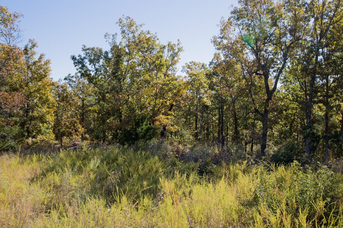 Stone Creek Phase I Tract 163 photo 14