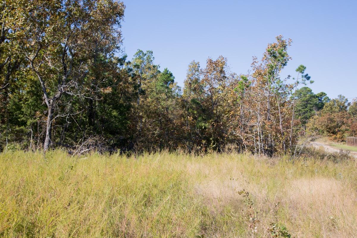 Stone Creek Phase I Tract 163 photo 15