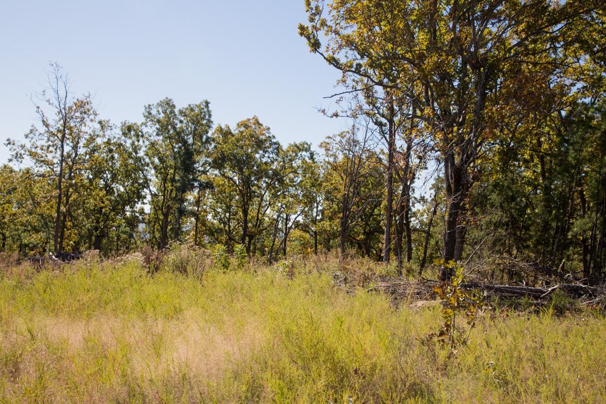 Stone Creek Phase I Tract 163 photo 16