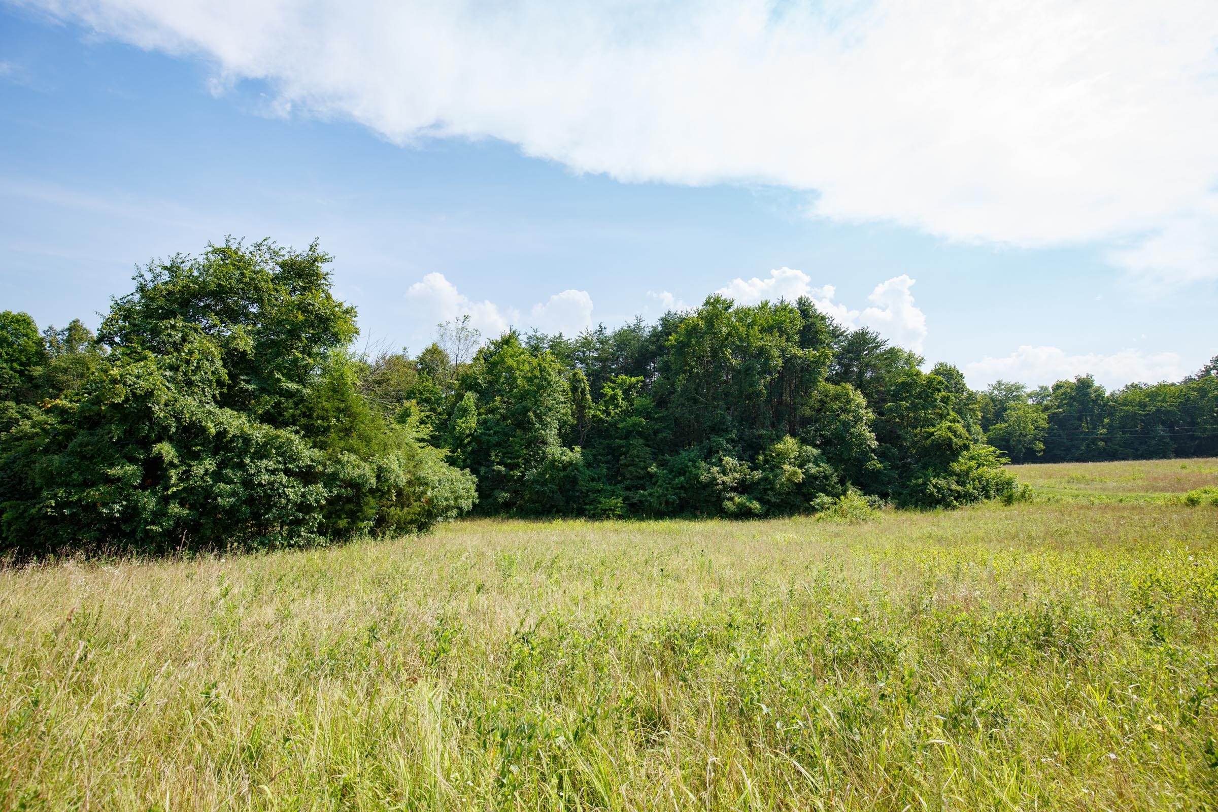 Rolling Hills Tract 32 photo 2