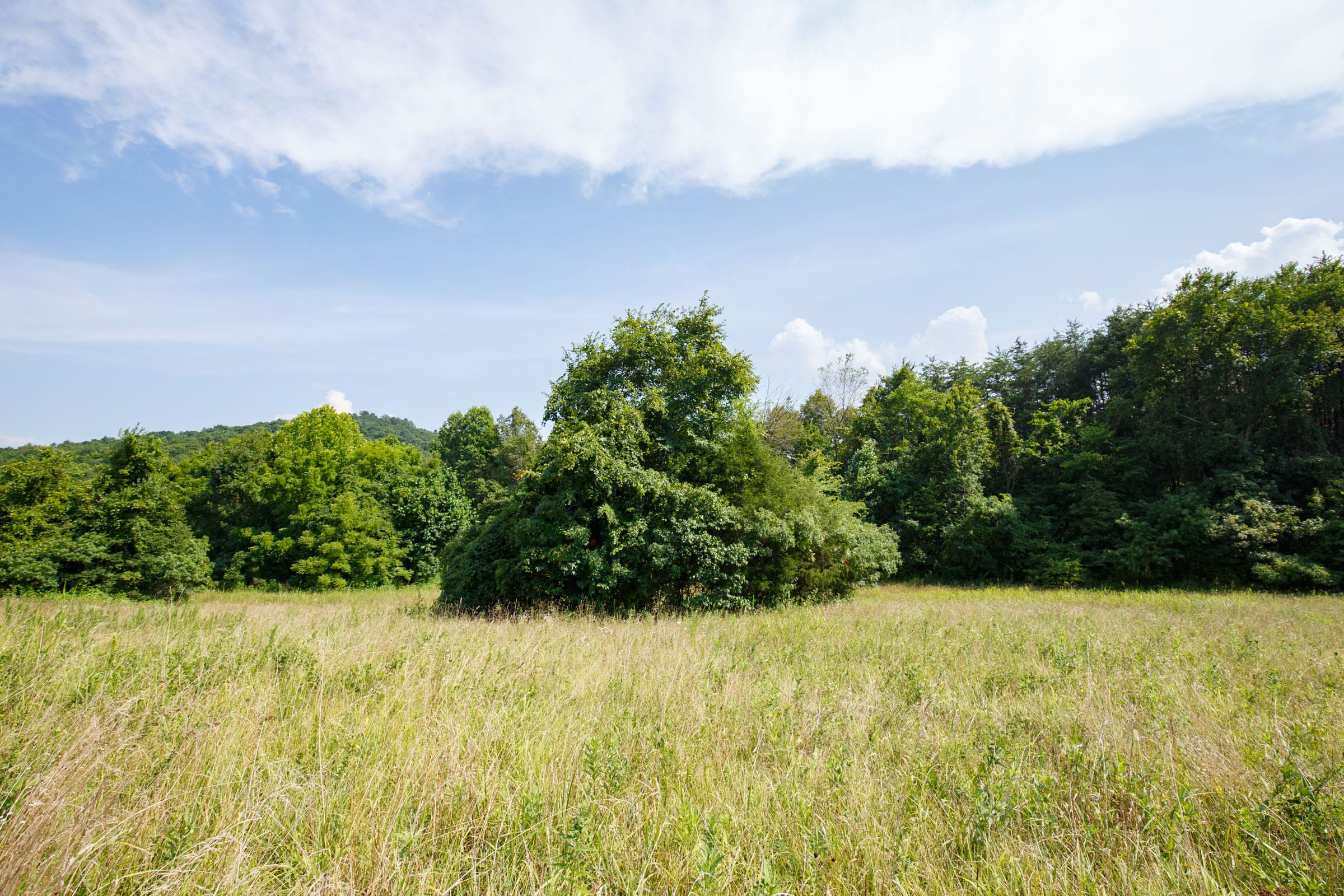 Rolling Hills Tract 32 photo 3