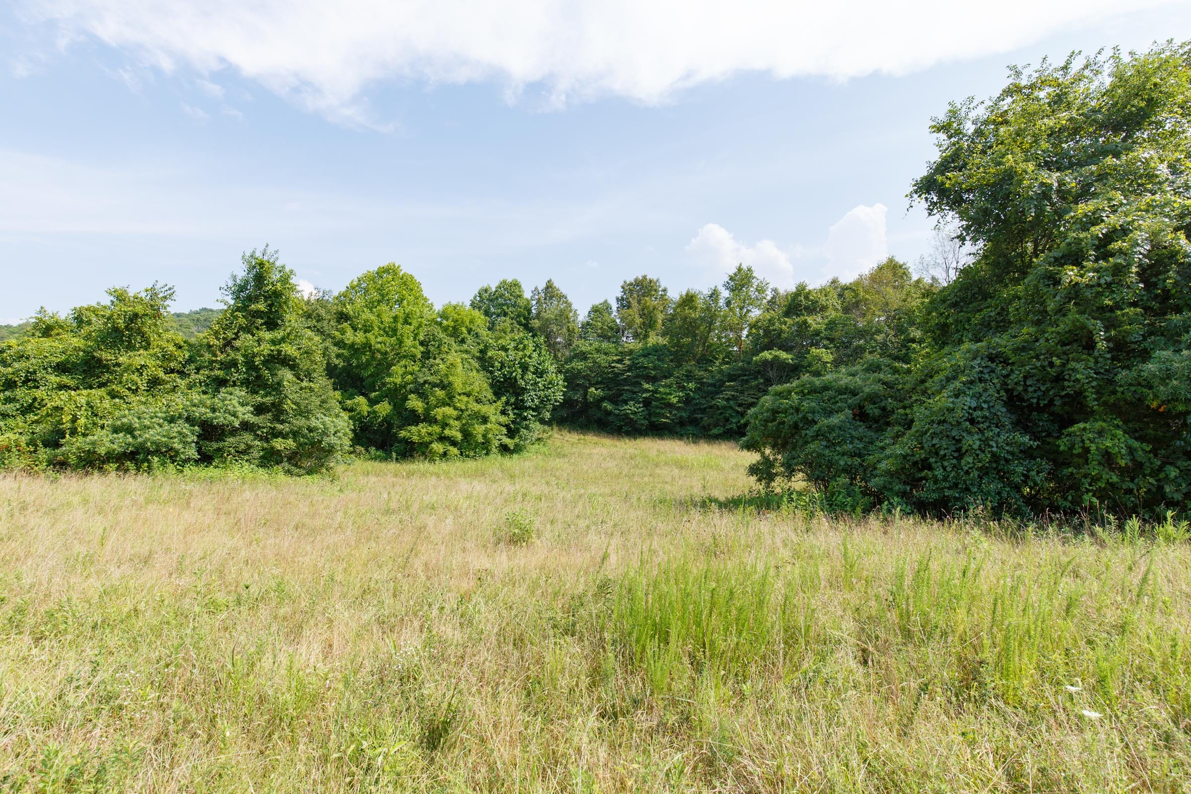 Rolling Hills Tract 32 photo 5
