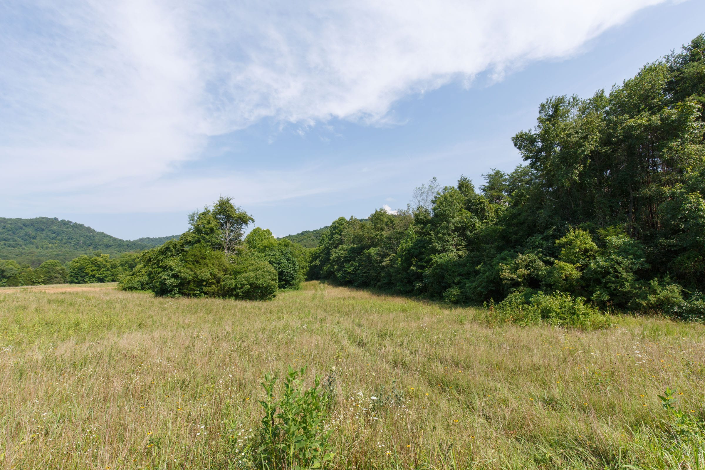 Rolling Hills Tract 32 photo 6