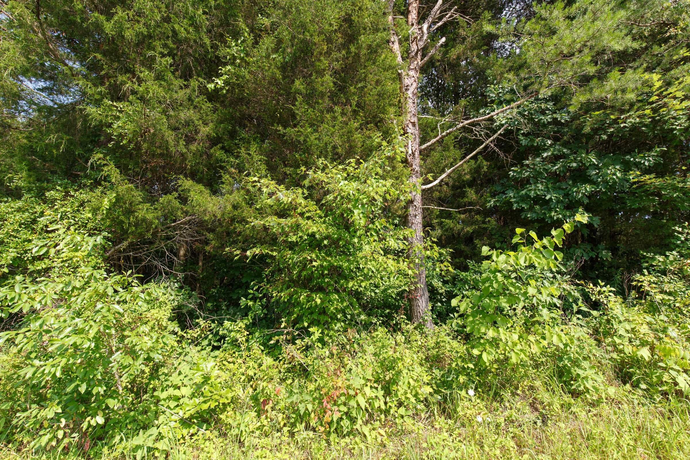 Rolling Hills Tract 32 photo 8