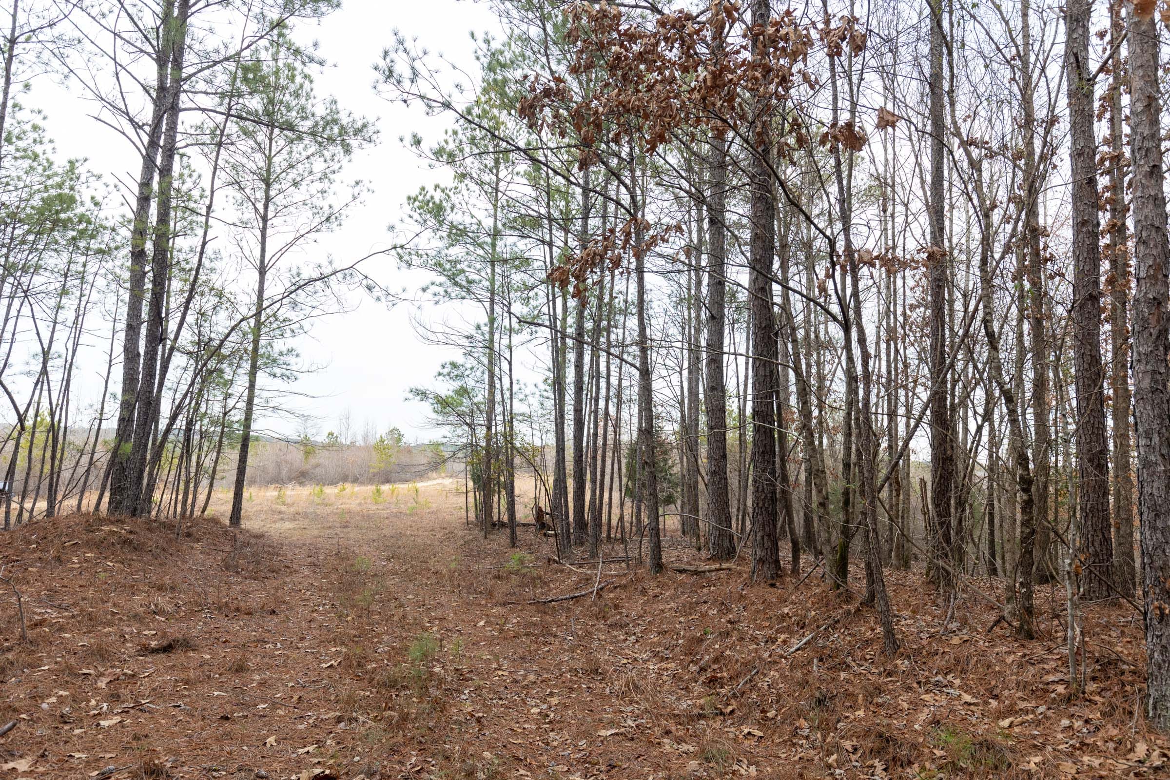 Baker Creek Tract 16 photo 5