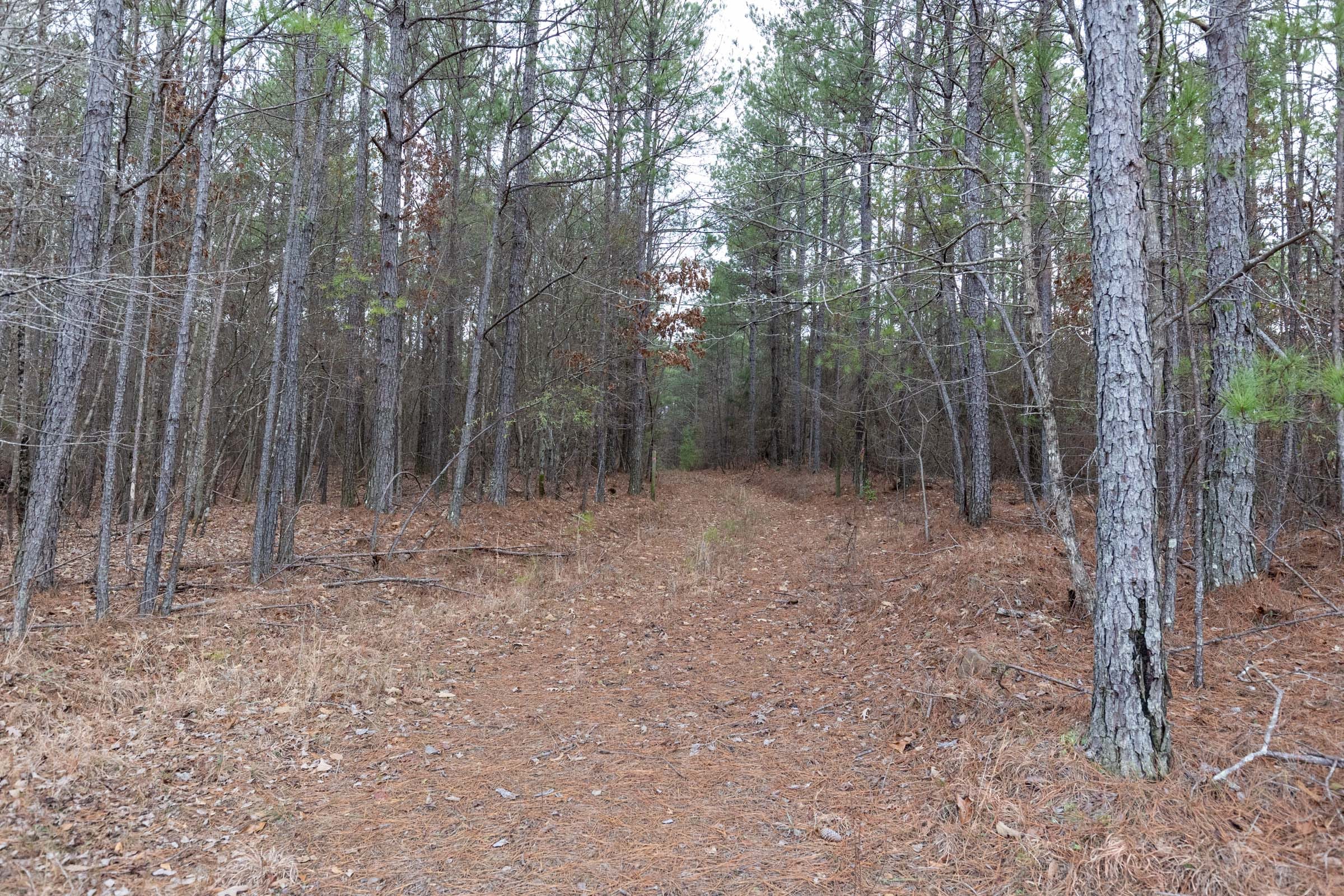 Baker Creek Tract 16 photo 8