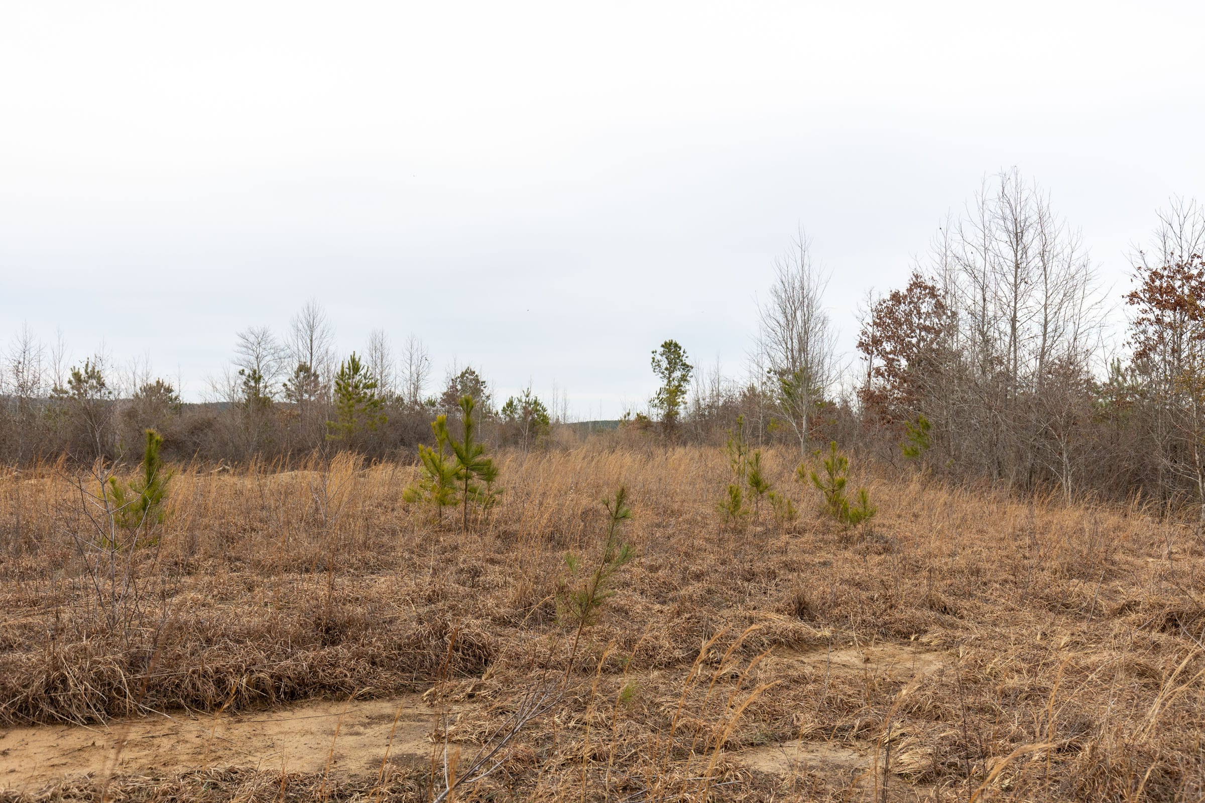Baker Creek Tract 16 photo 2