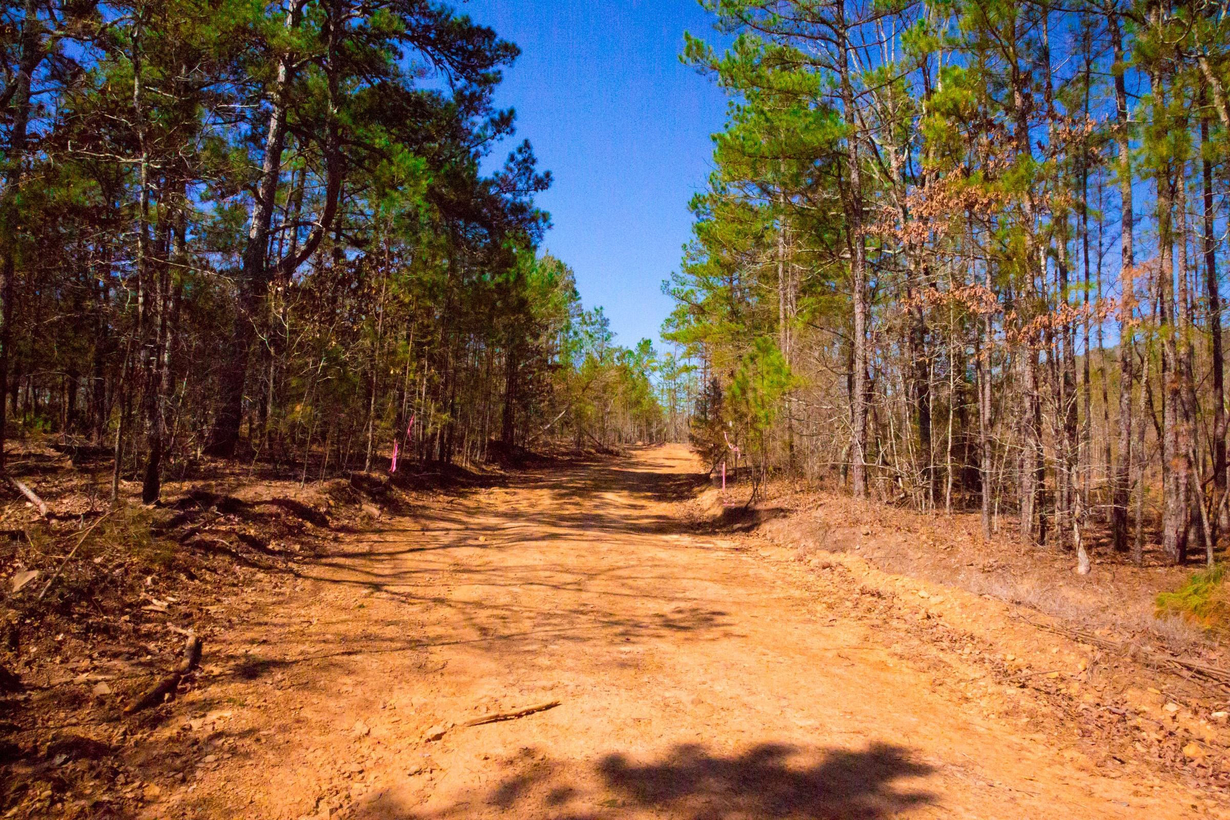 Stone Creek Phase II Tract 131 photo 2