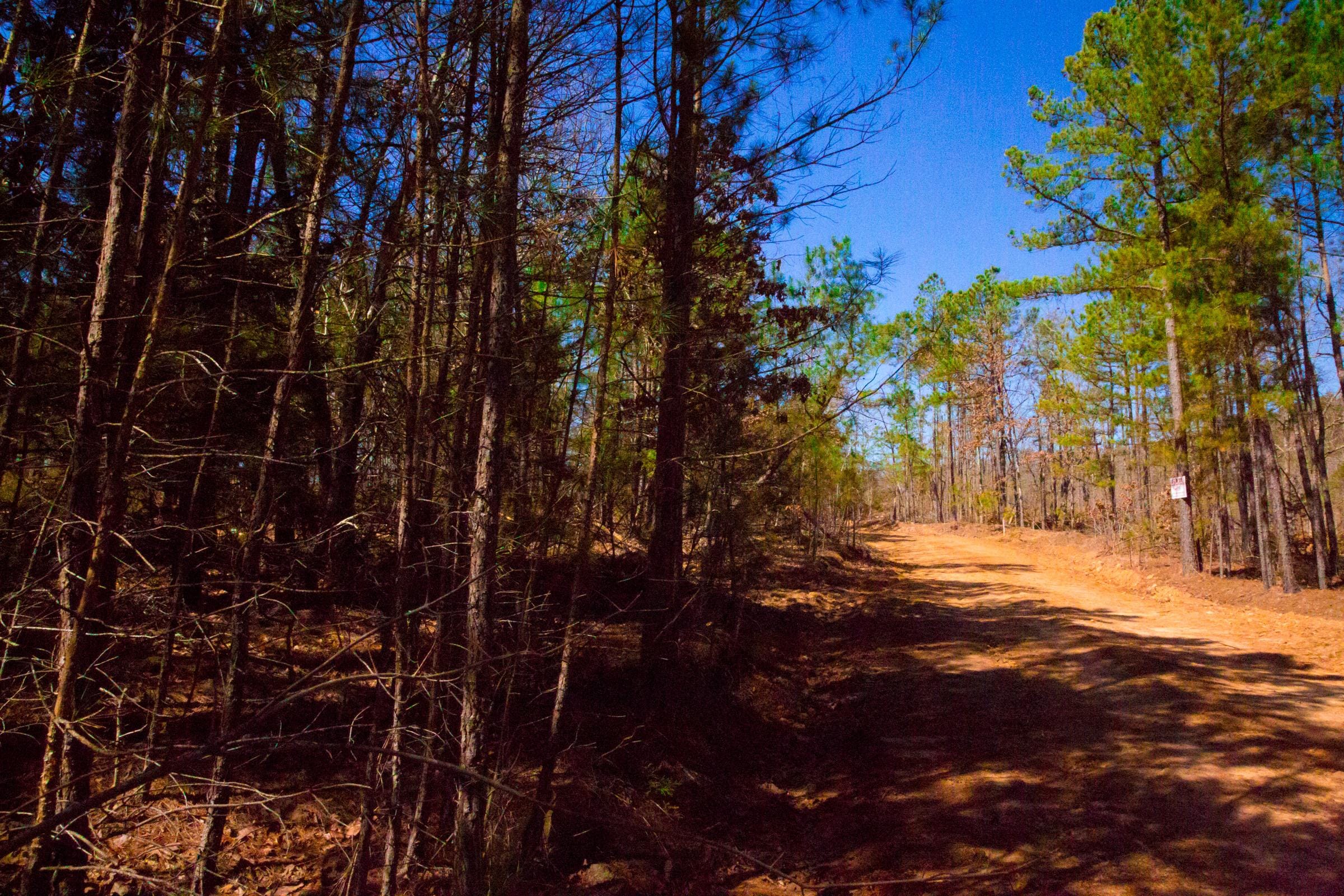 Stone Creek Phase II Tract 131 photo 6