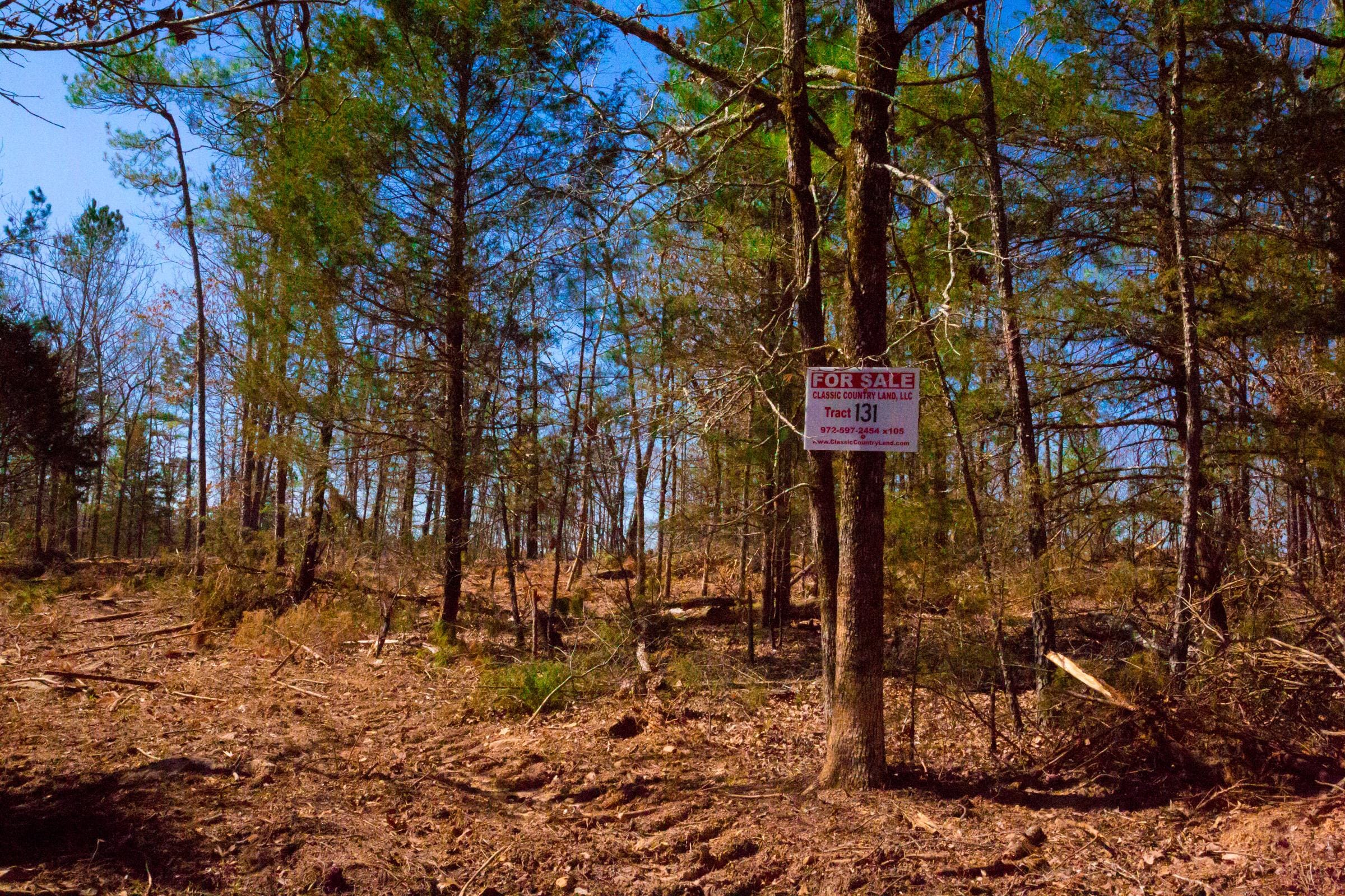 Stone Creek Phase II Tract 131 photo 1