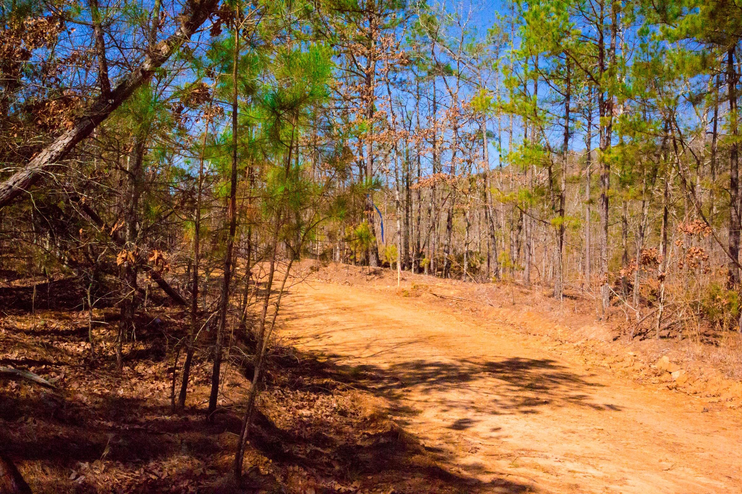 Stone Creek Phase II Tract 131 photo 7