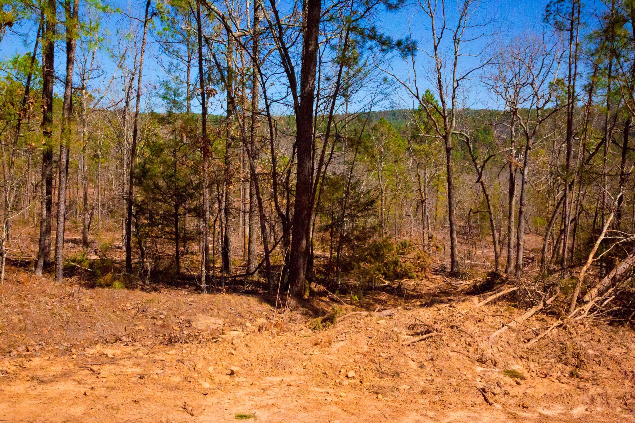 Stone Creek Phase II Tract 131 photo 8