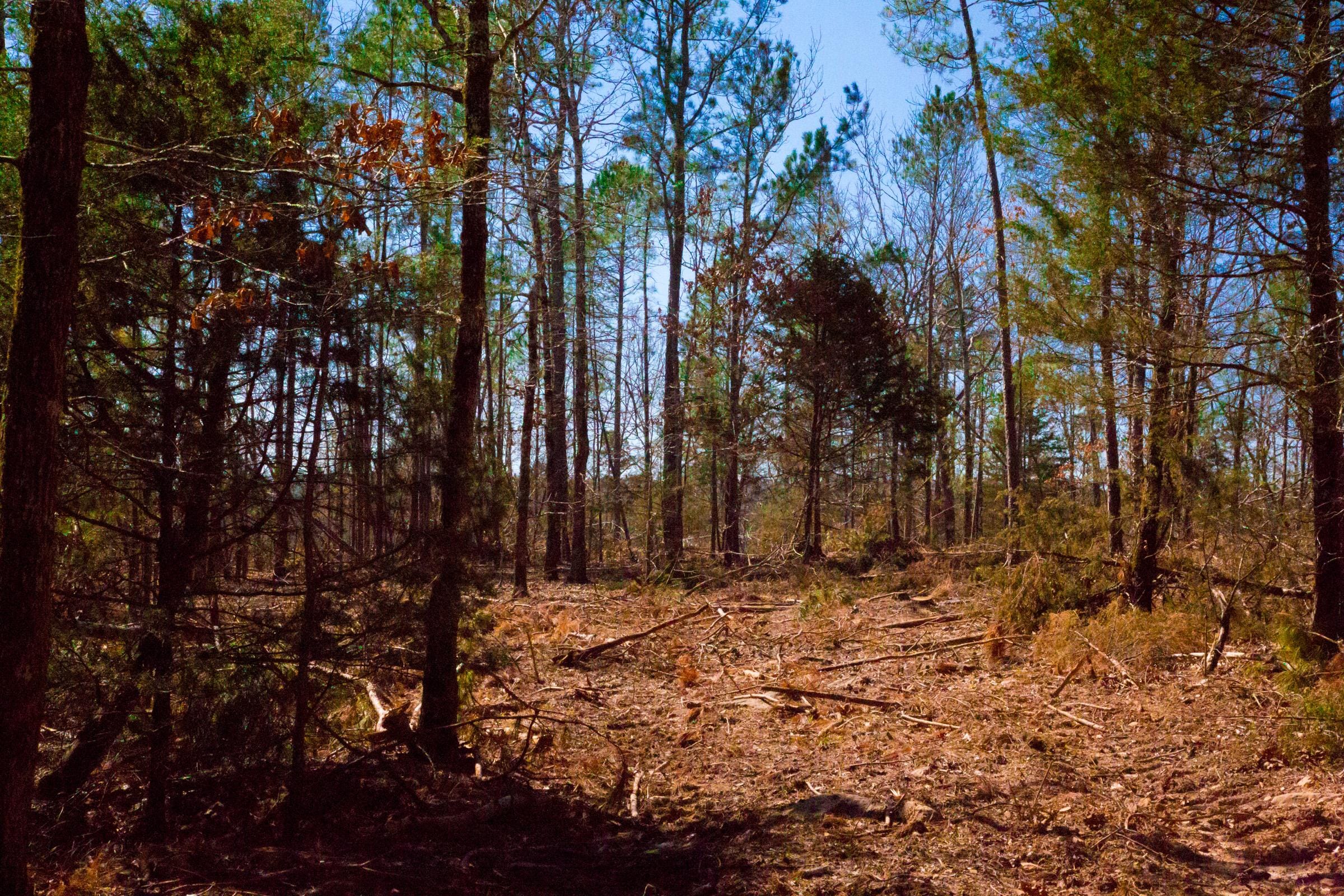 Stone Creek Phase II Tract 131 photo 9