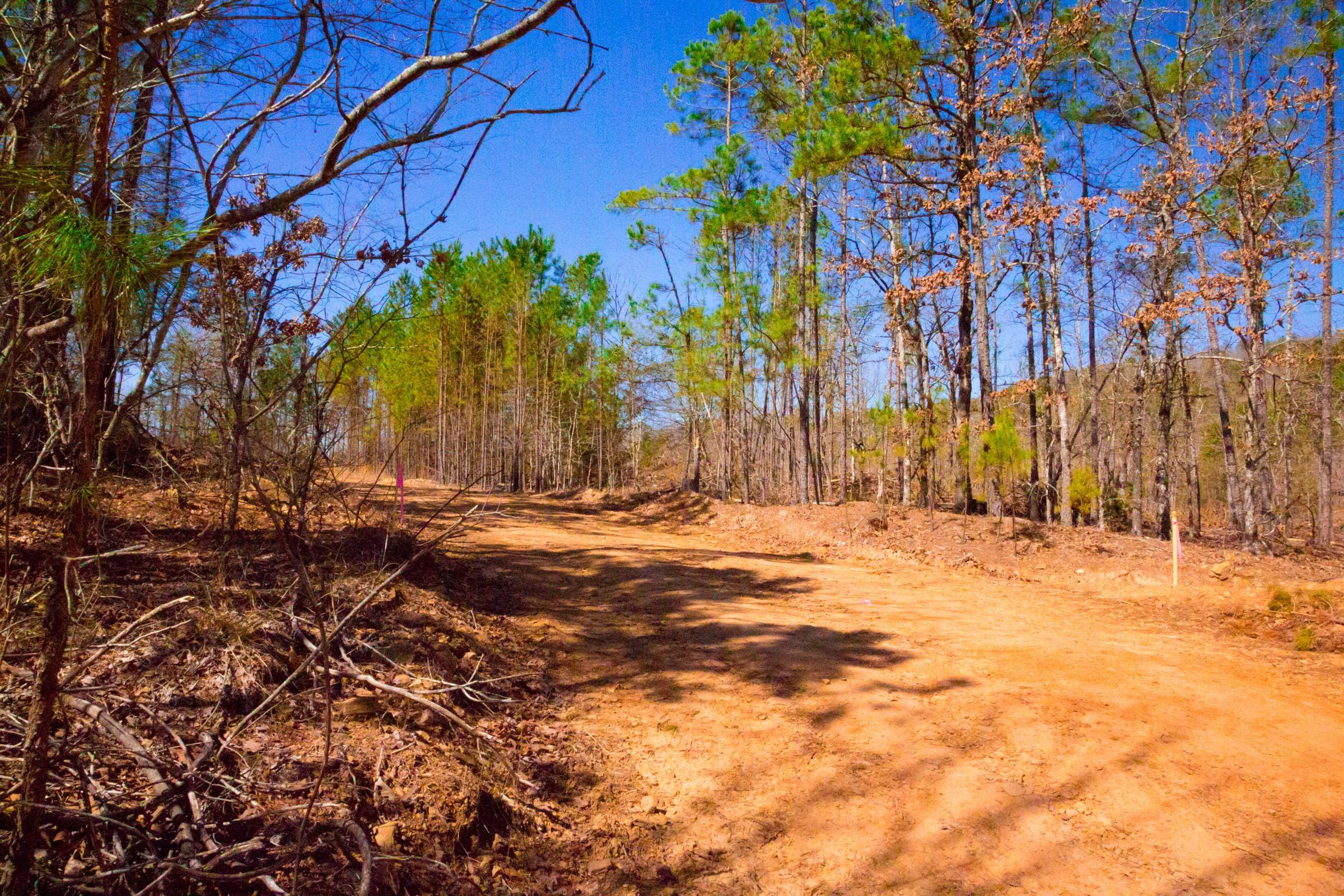 Stone Creek Phase II Tract 131 photo 10