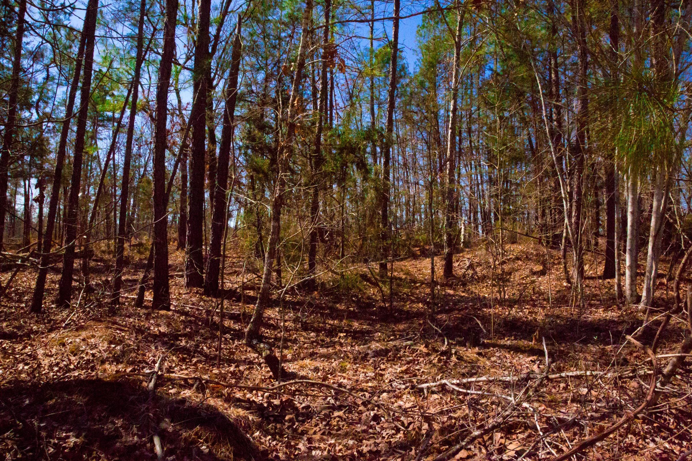 Stone Creek Phase II Tract 131 photo 11