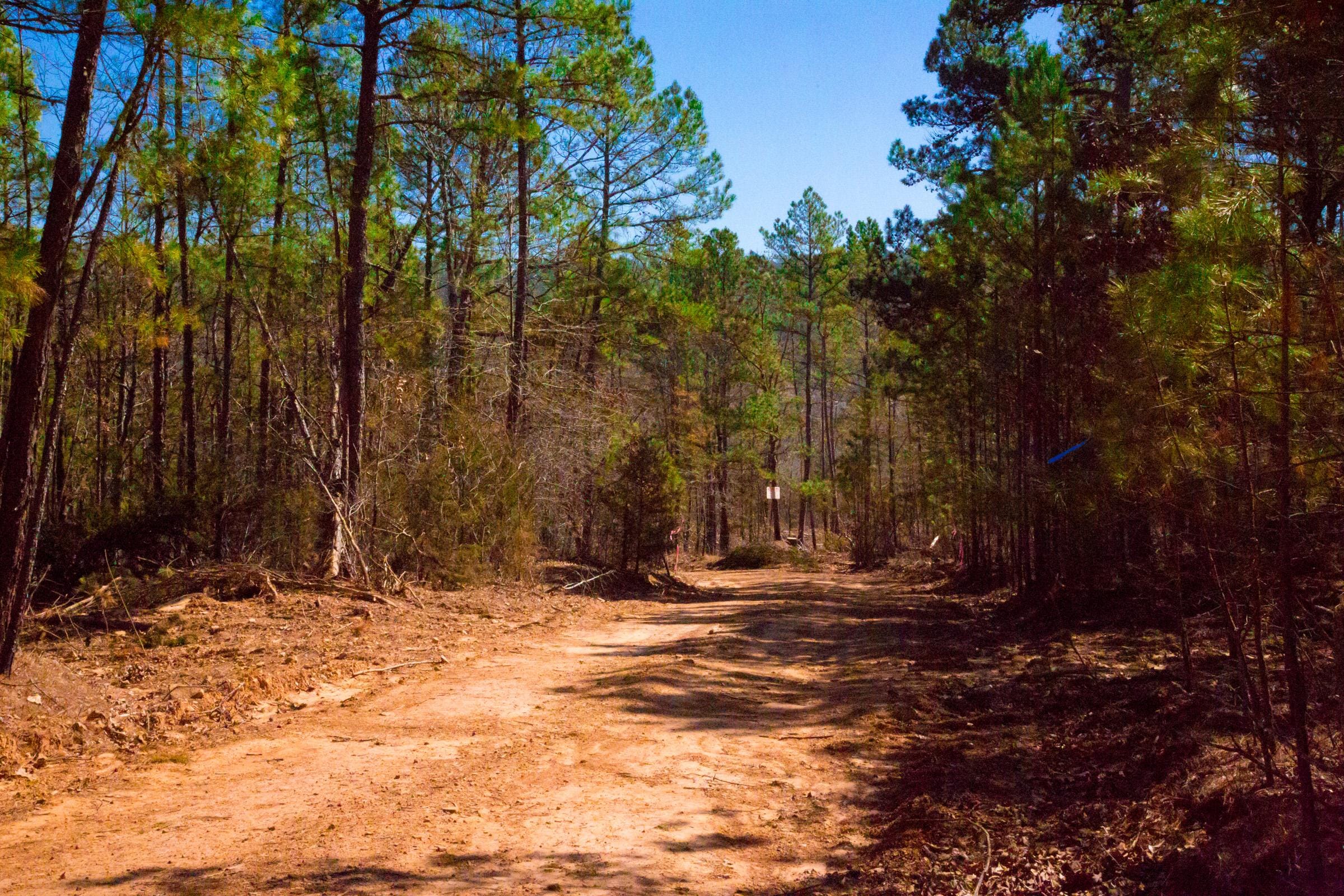 Stone Creek Phase II Tract 131 photo 12