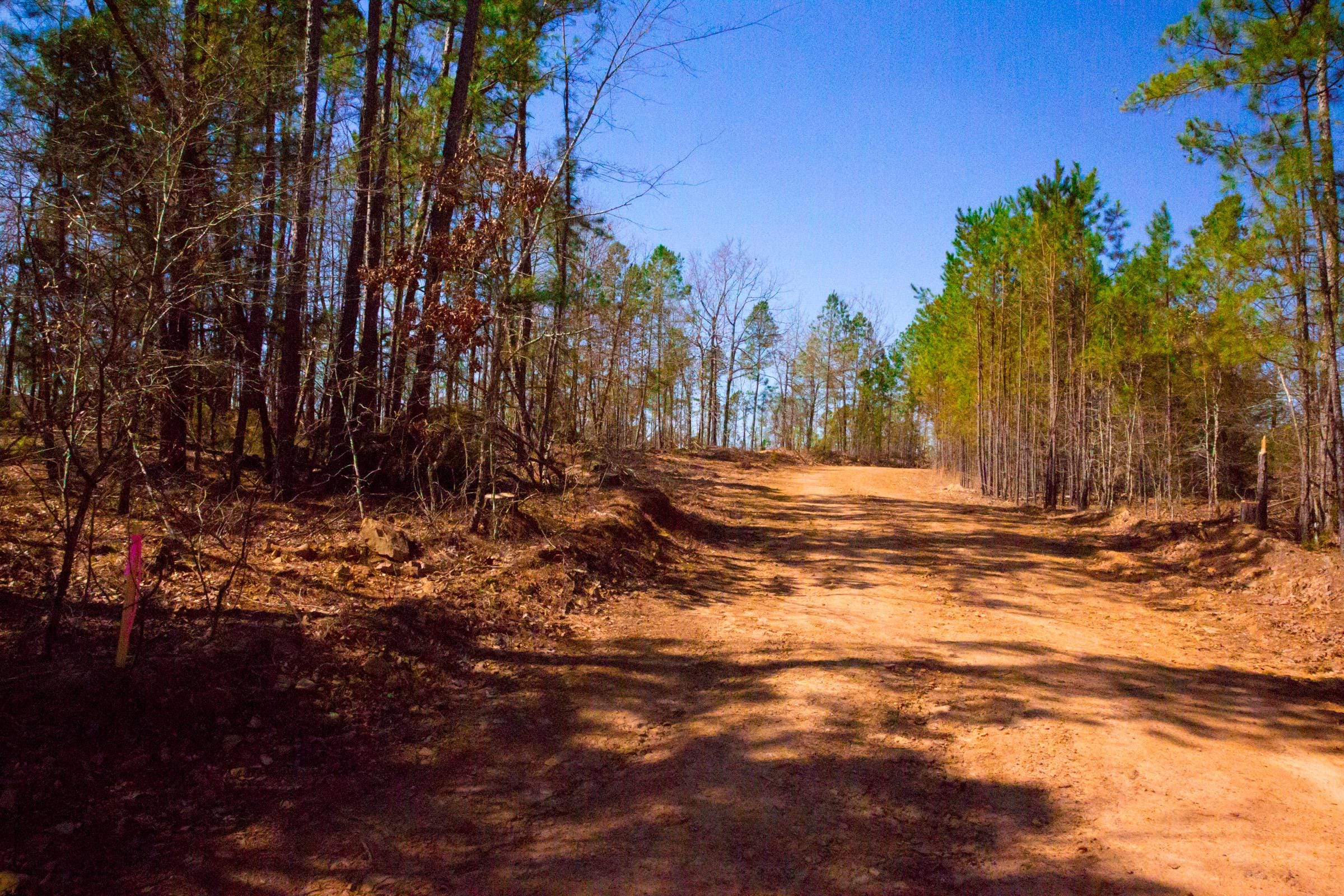 Stone Creek Phase II Tract 131 photo 13