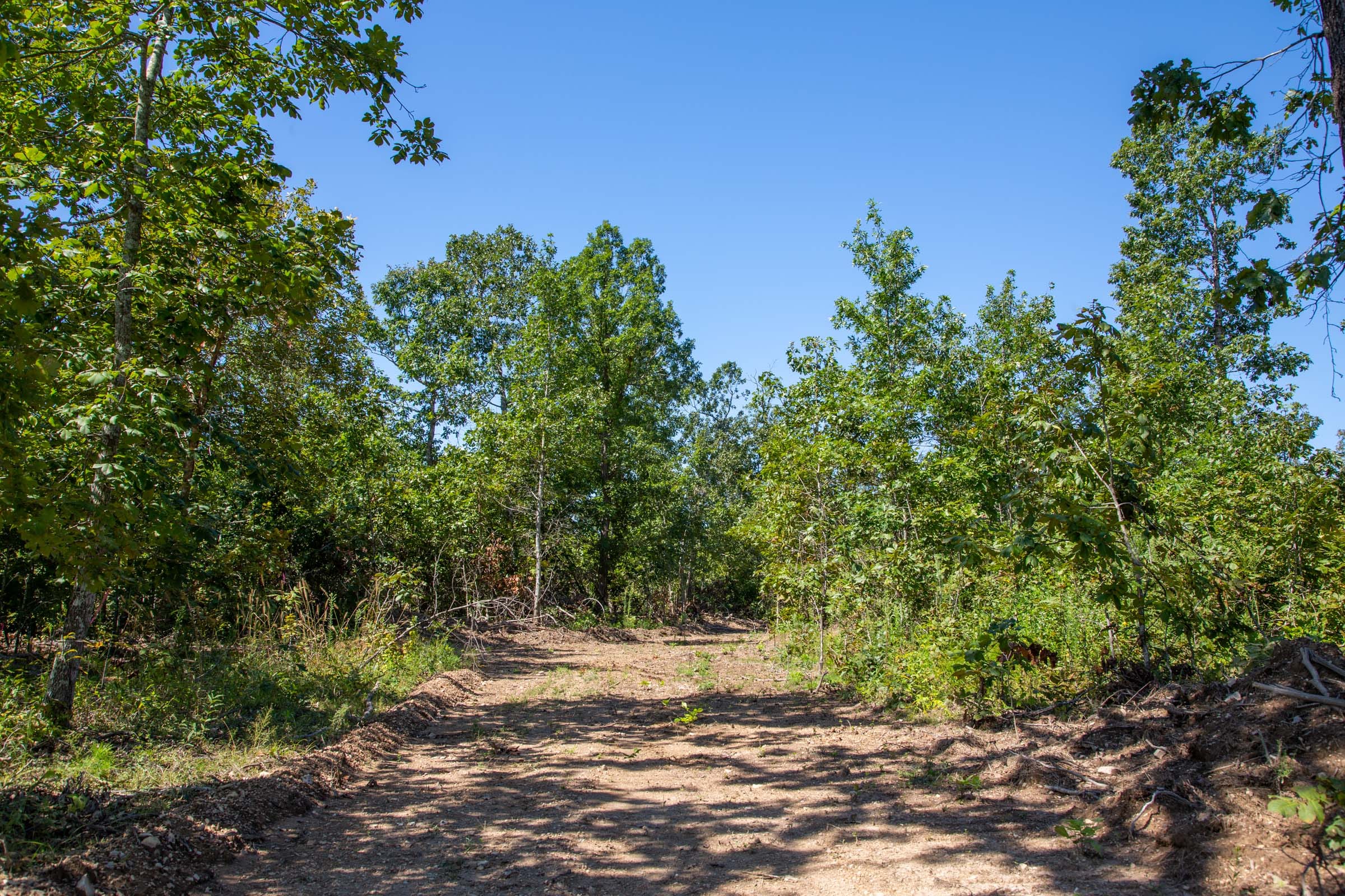 Borgmann’s Hollow Phase II Tract 63 photo 2