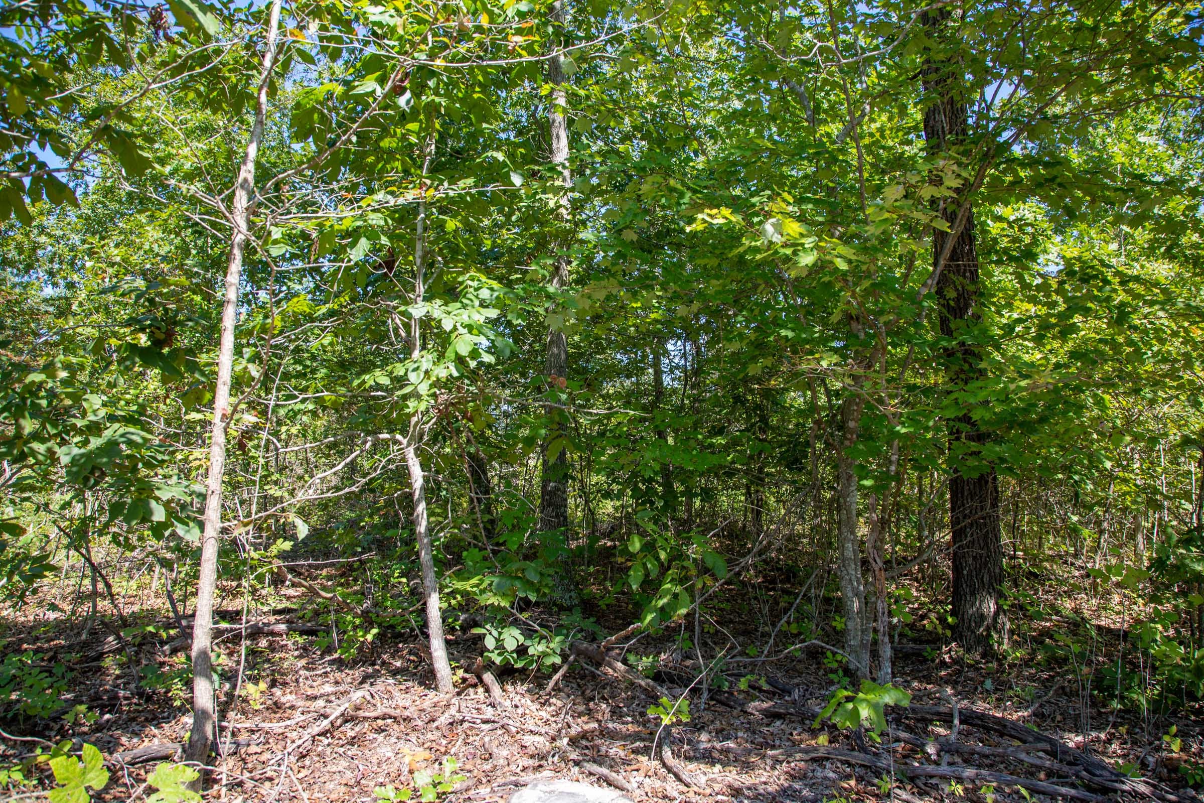 Borgmann’s Hollow Phase II Tract 63 photo 7