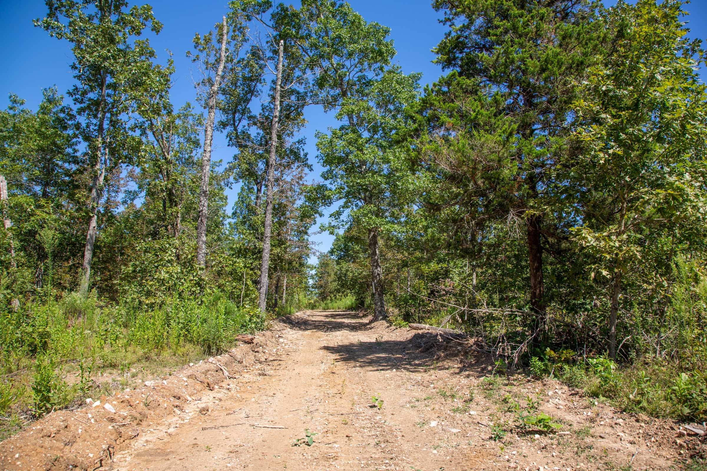 Borgmann’s Hollow Phase II Tract 63 photo 13