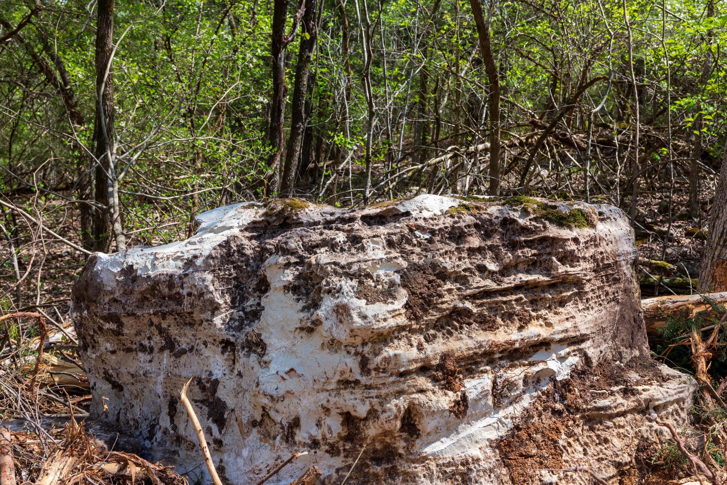Autumnwood Tract 20 photo 5