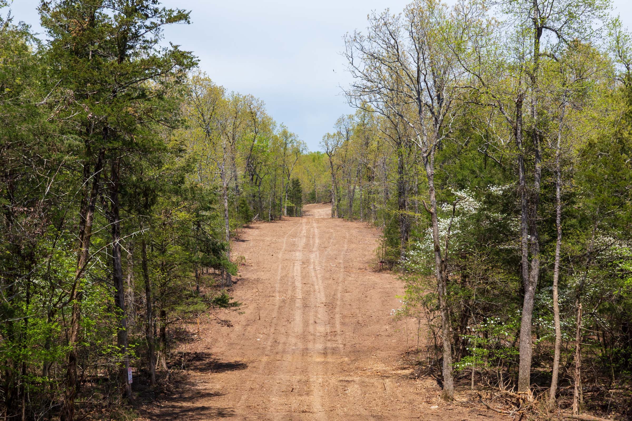 Autumnwood Tract 20 photo 10