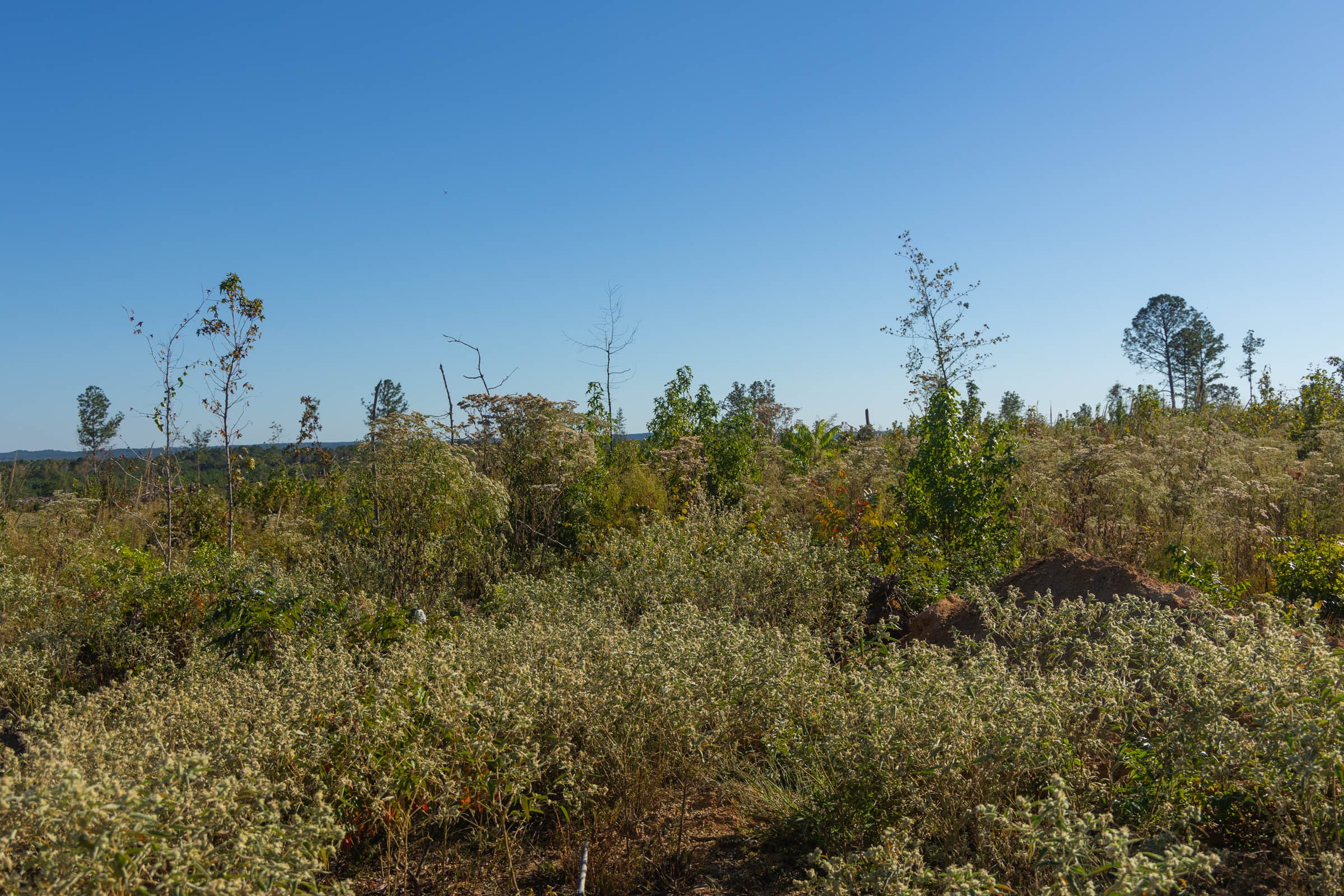 Meyer’s Ridge Tract 31 photo 10