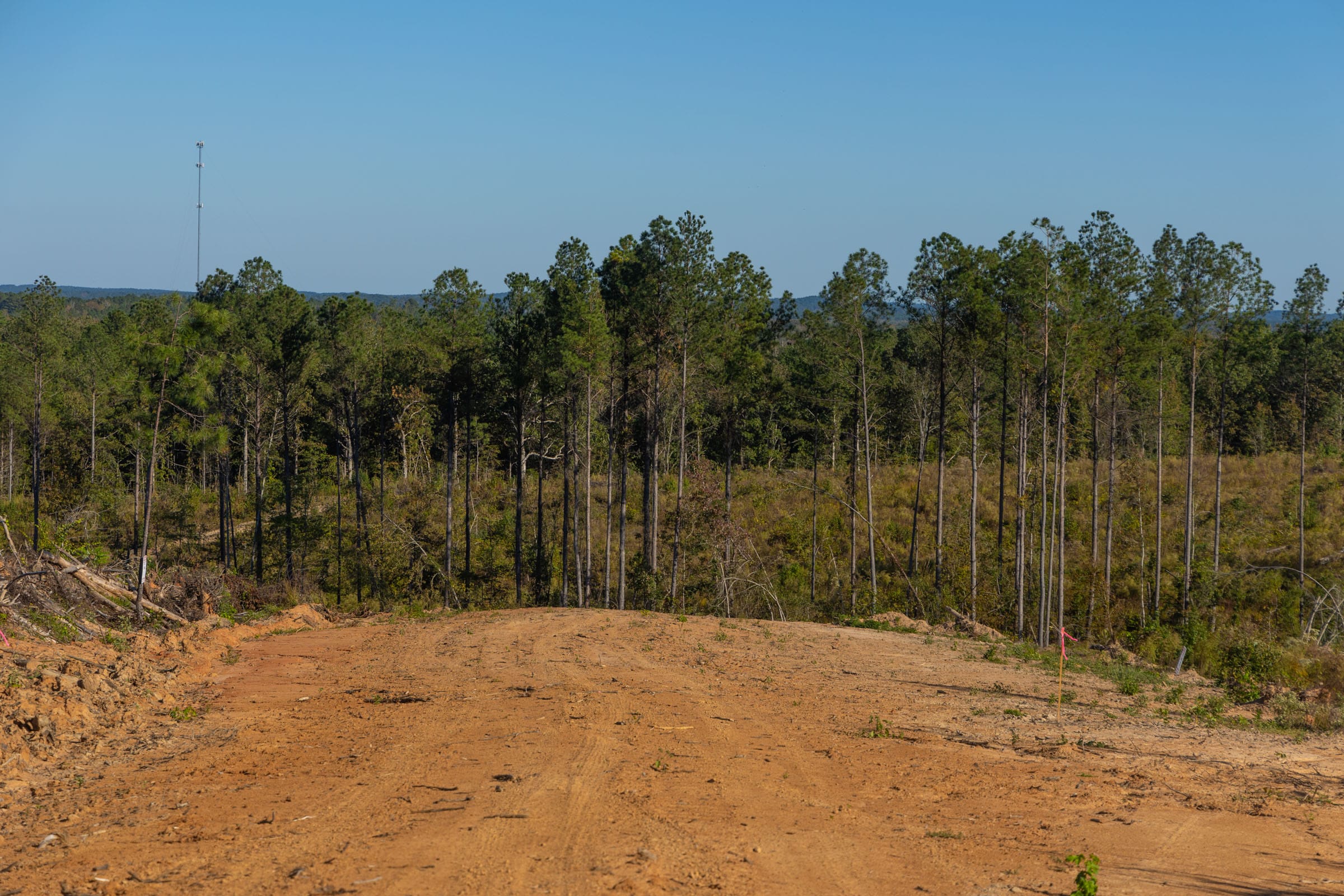 Meyer’s Ridge Tract 31 photo 11