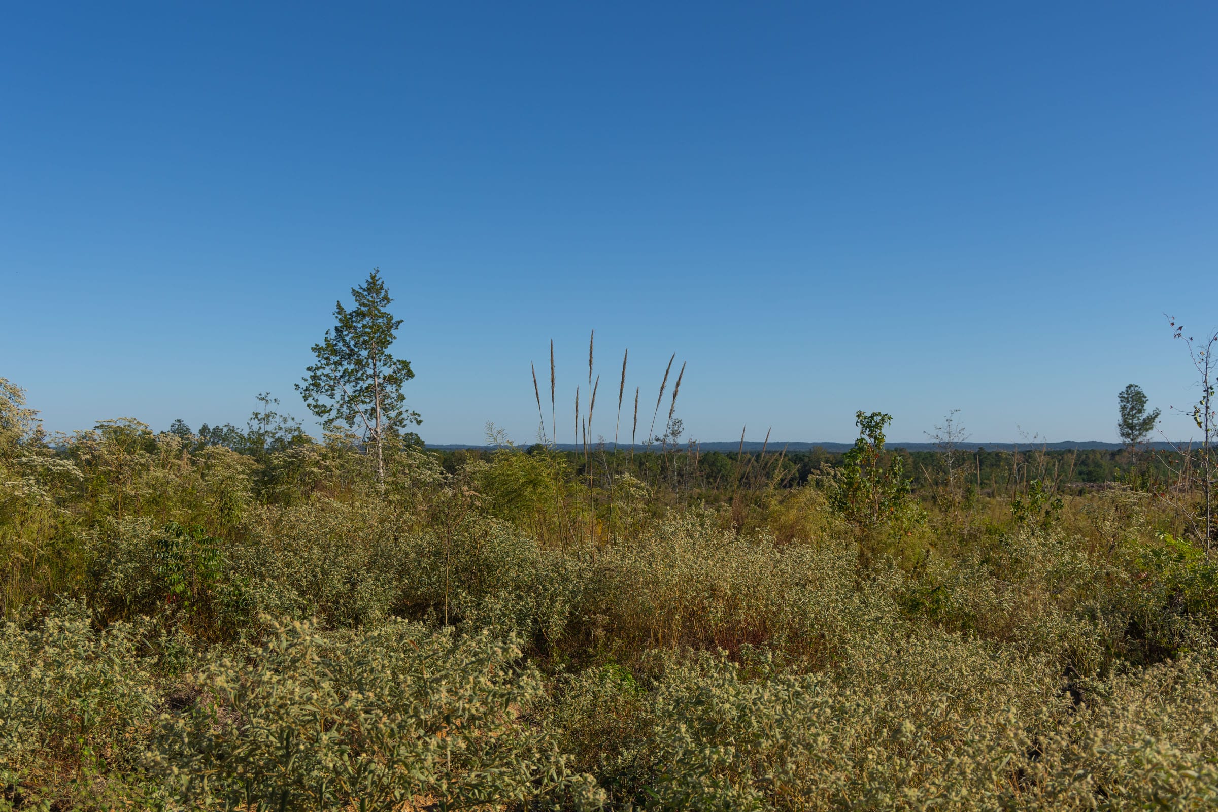 Meyer’s Ridge Tract 31 photo 6