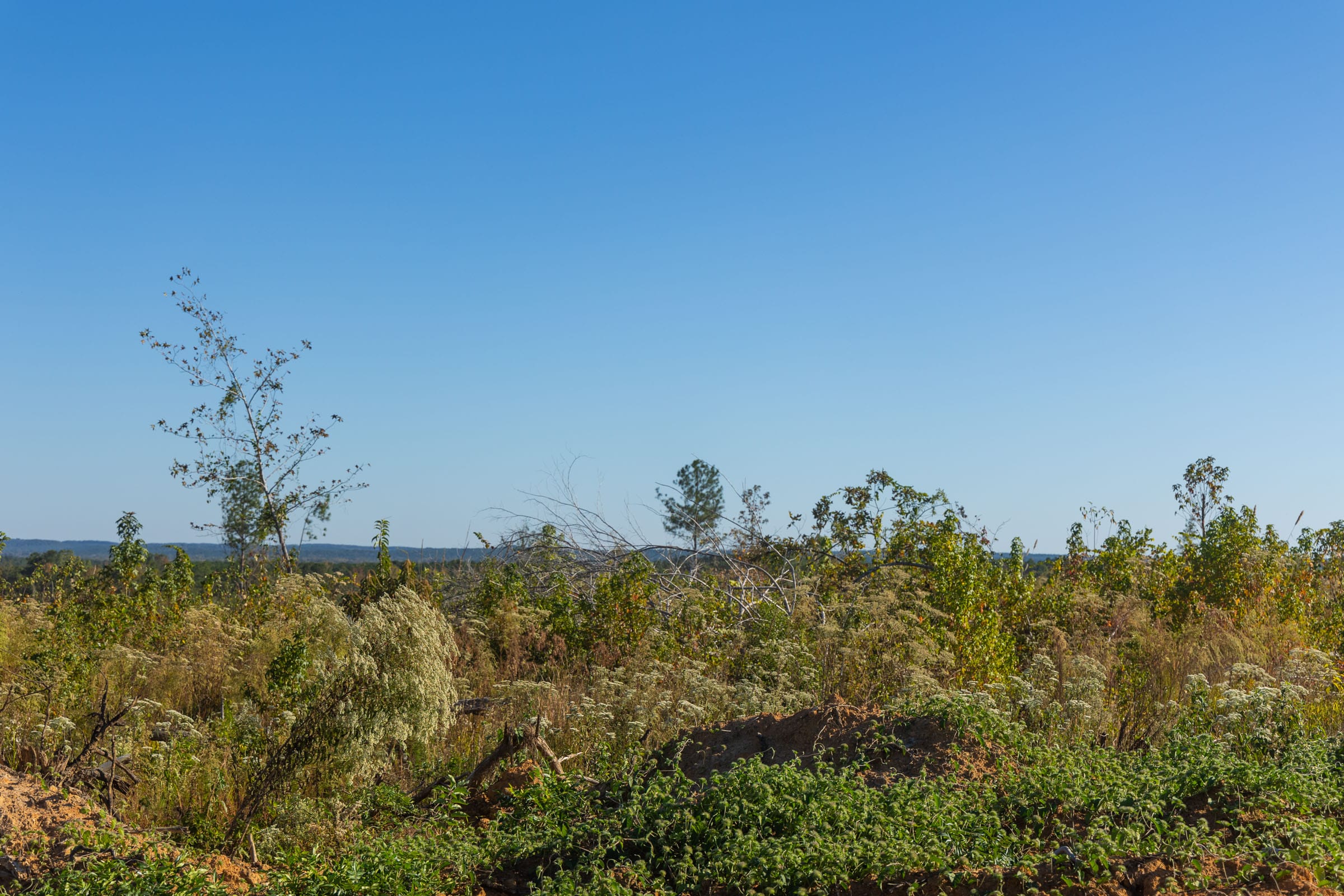 Meyer’s Ridge Tract 31 photo 5