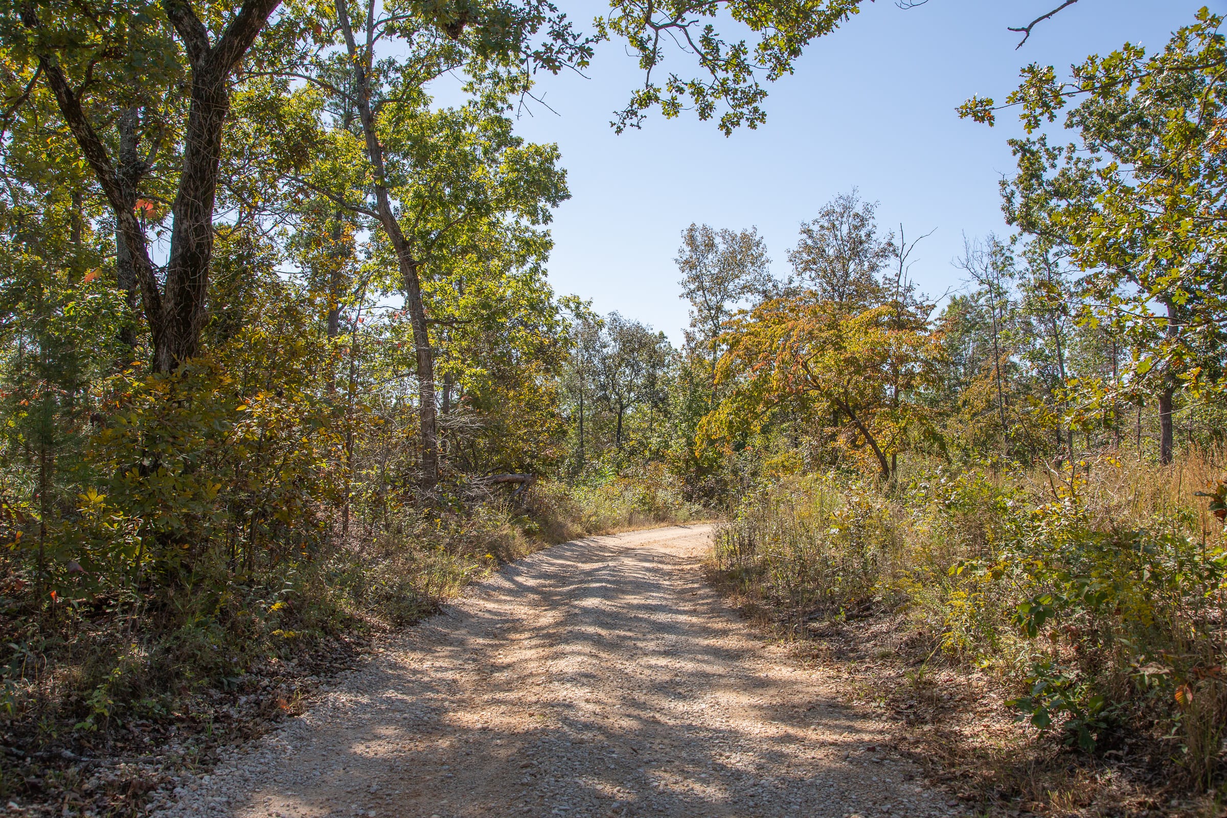 Borgmann’s Hollow Phase III Tract 90 photo 1