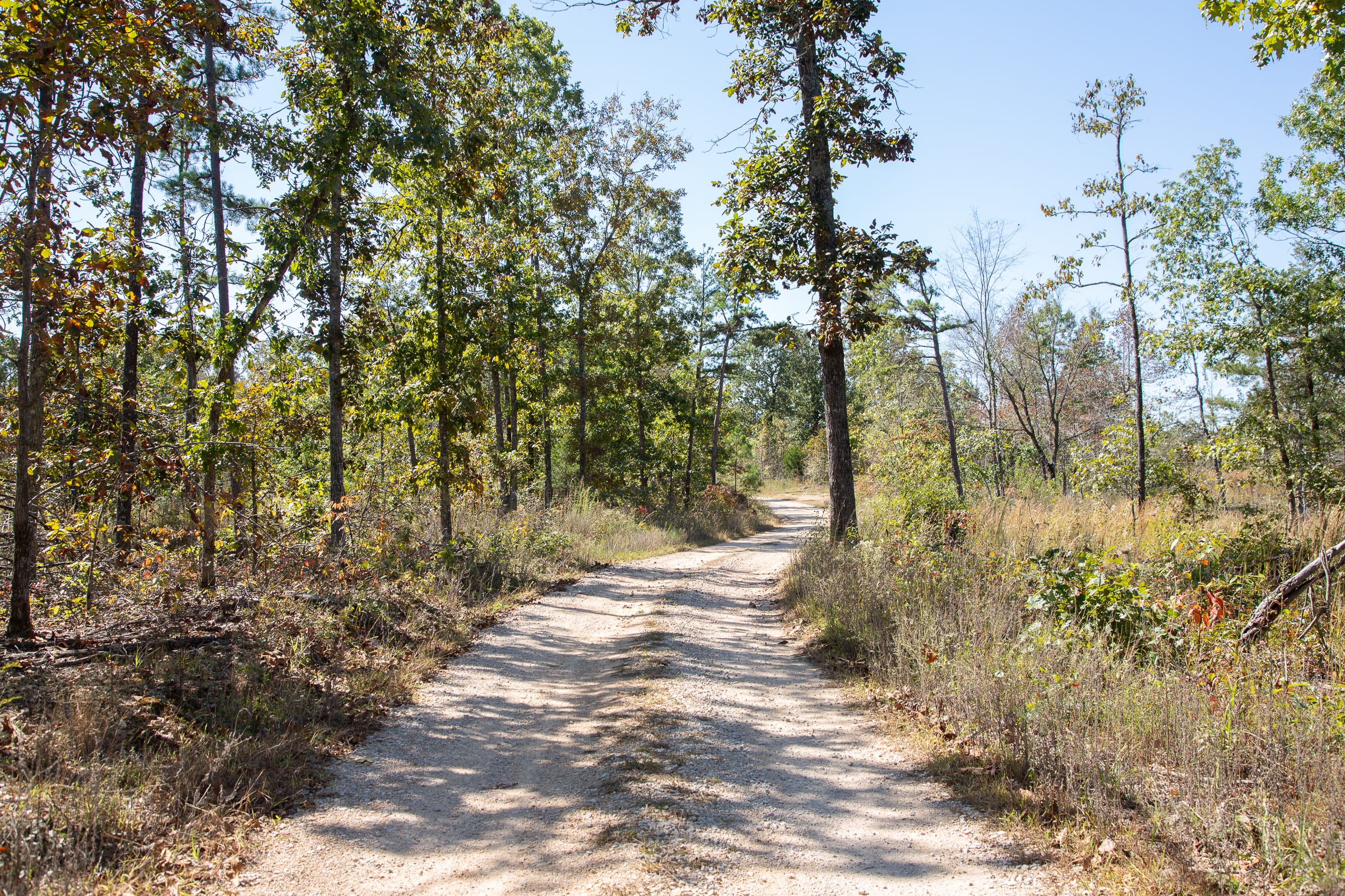 Borgmann’s Hollow Phase III Tract 90 photo 5