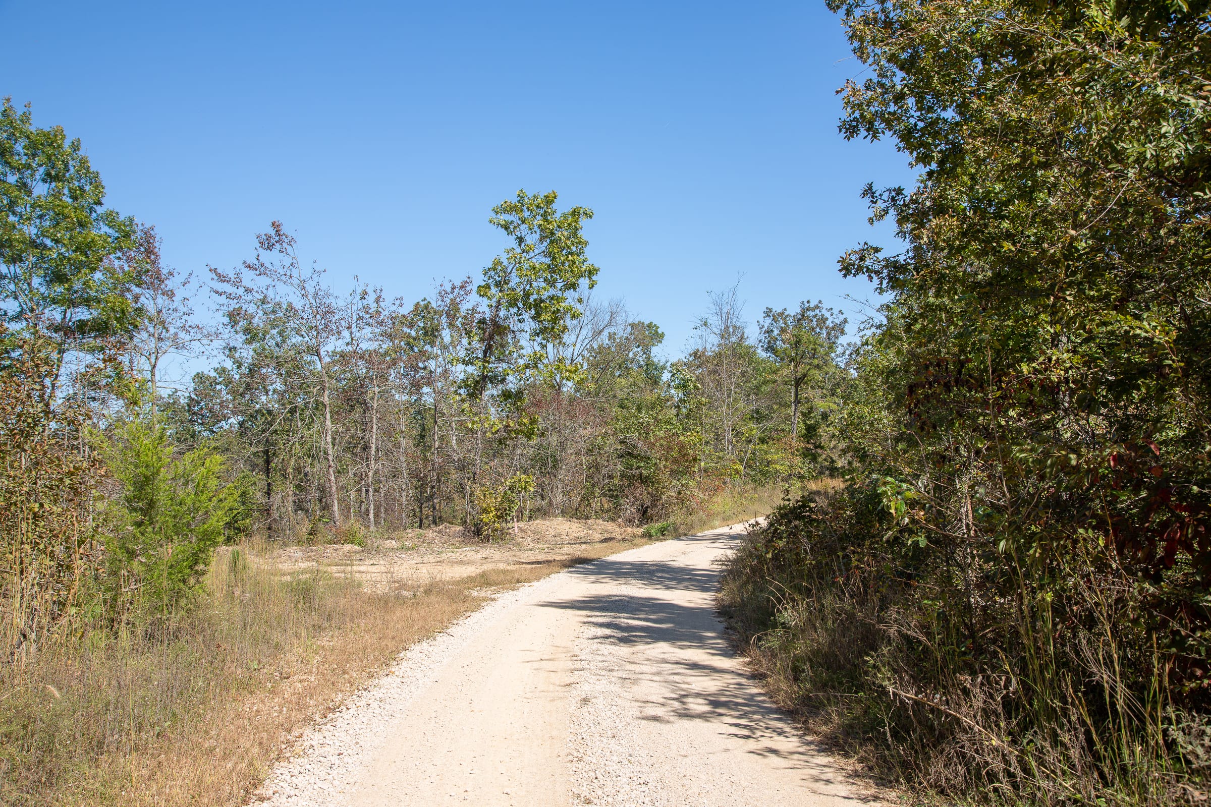 Borgmann’s Hollow Phase III Tract 90 photo 9