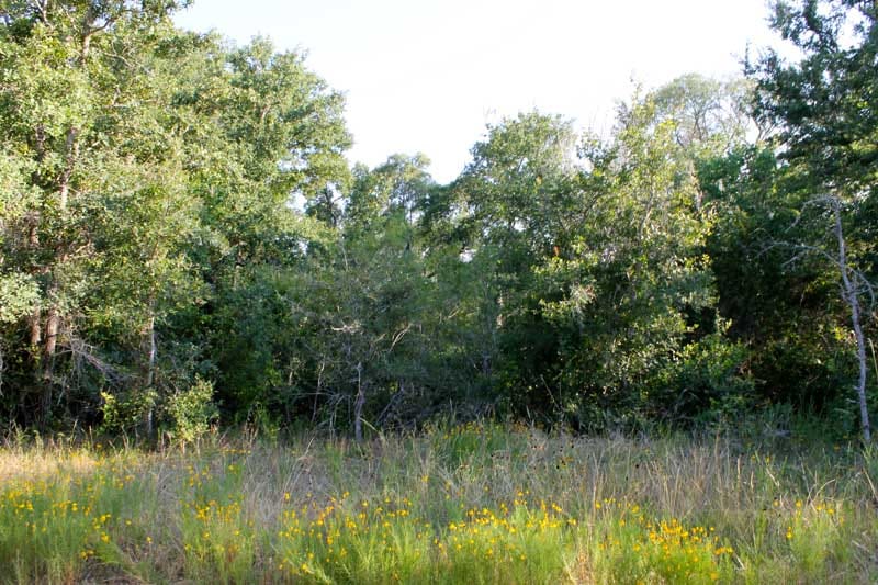 Tahitian Village Tract 659 photo 28