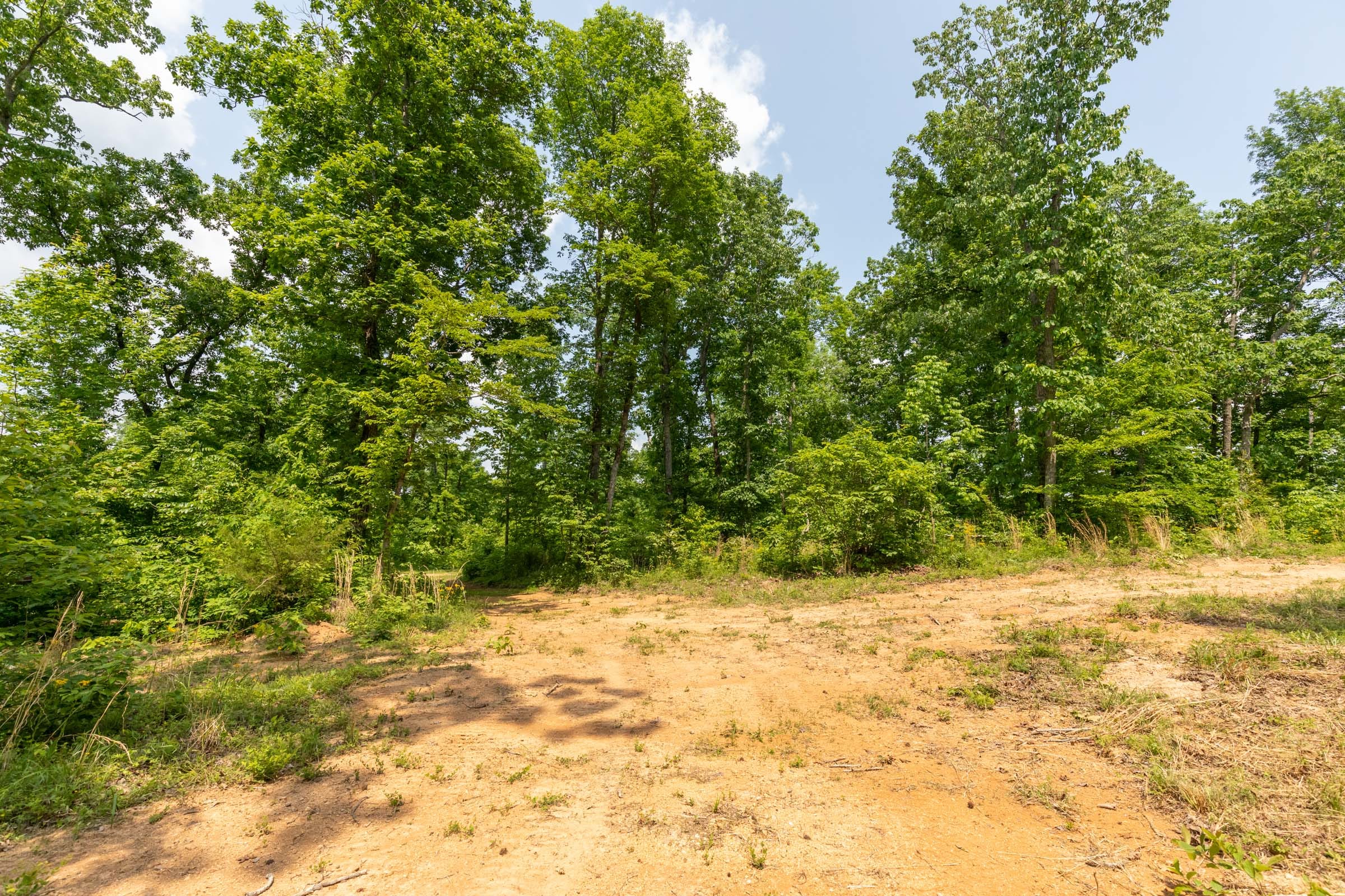 Cedar Creek Tract 15 photo 7