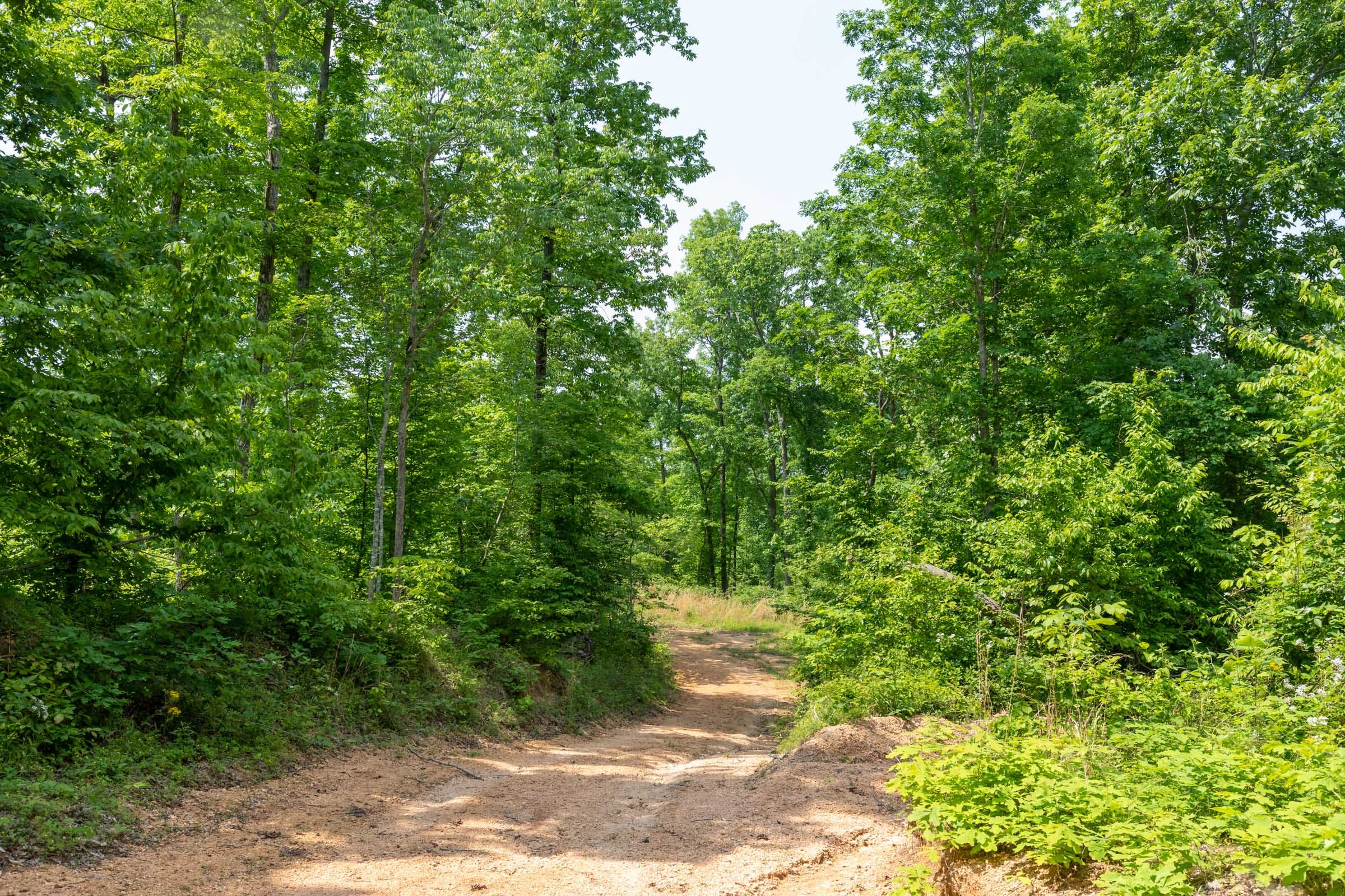 Cedar Creek Tract 15 photo 4