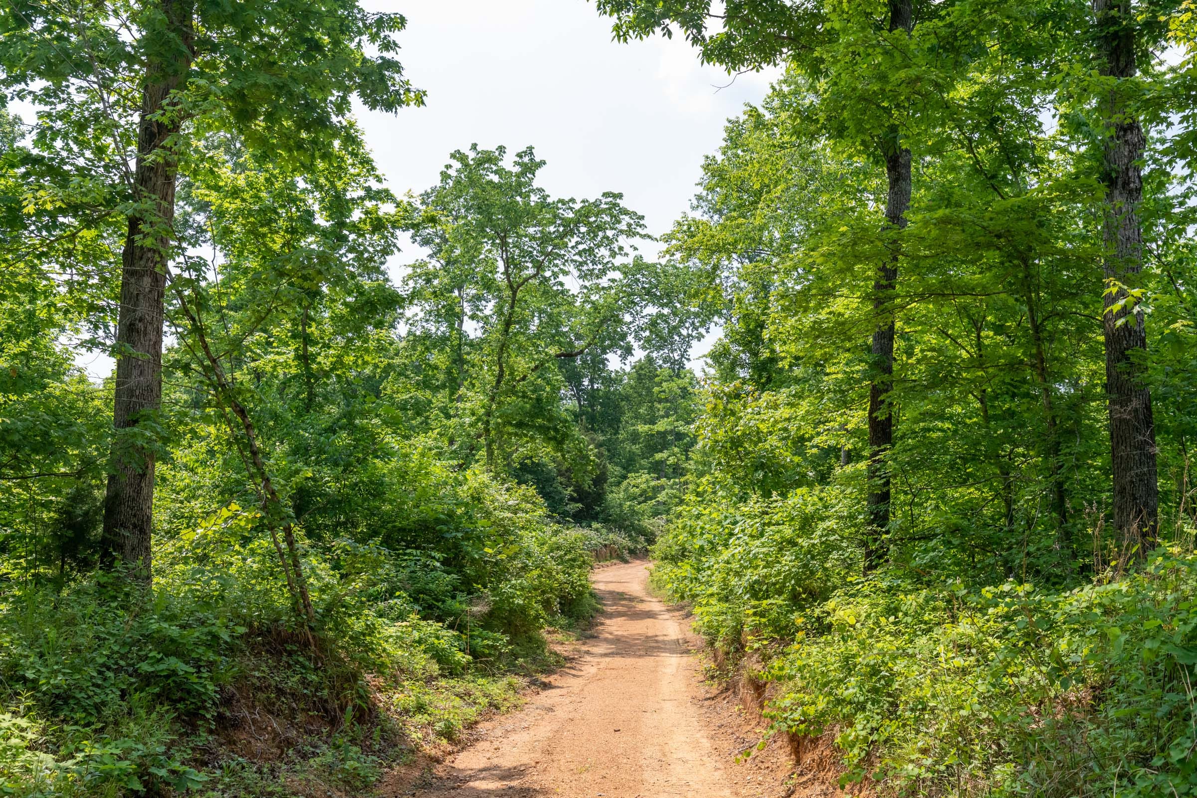 Cedar Creek Tract 15 photo 1