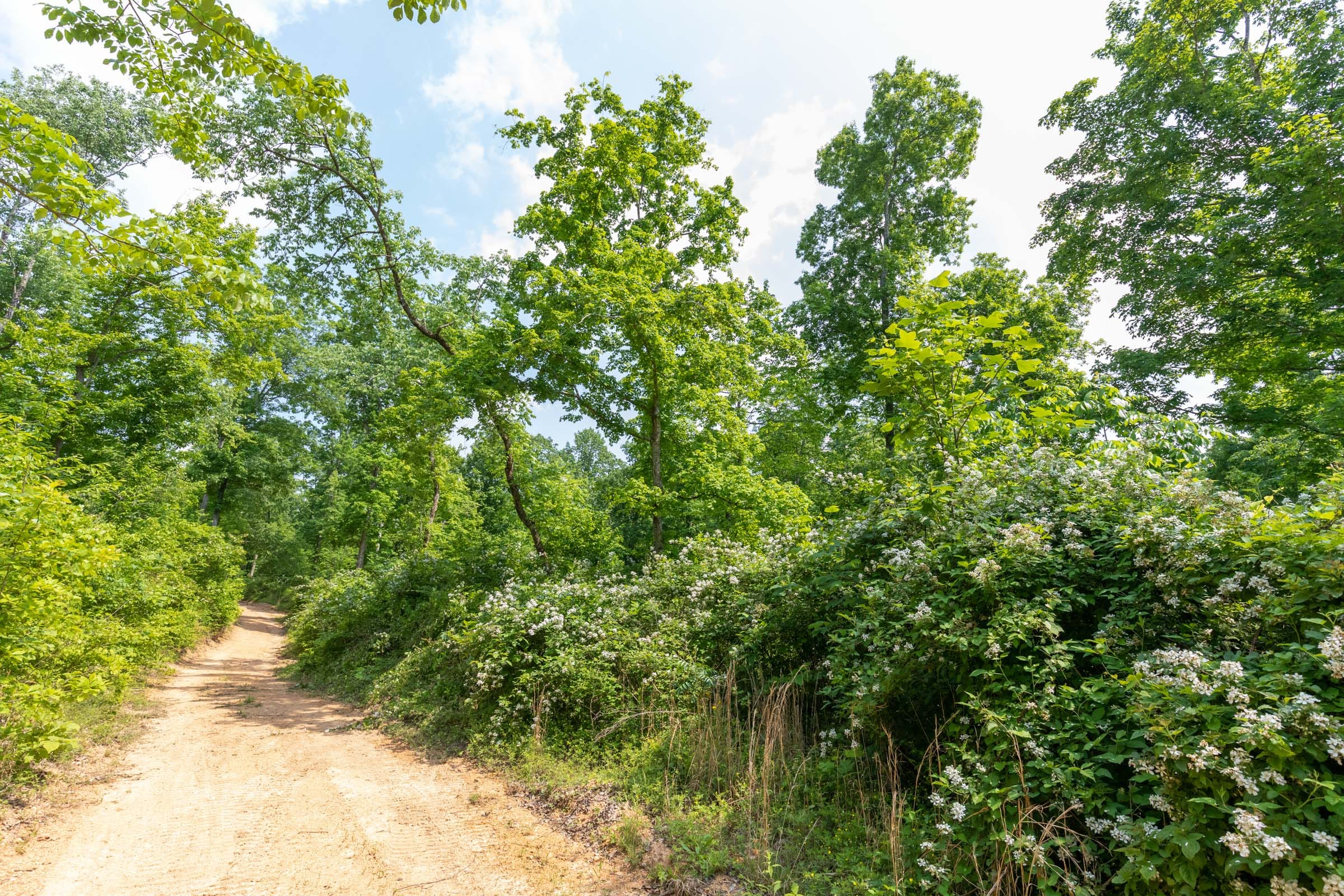 Cedar Creek Tract 15 photo 9