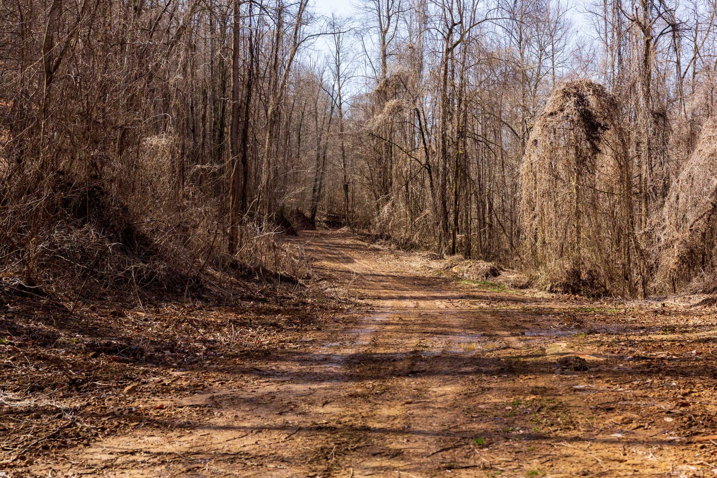 Blackstone Mountain Phase II Tract 69 photo 1