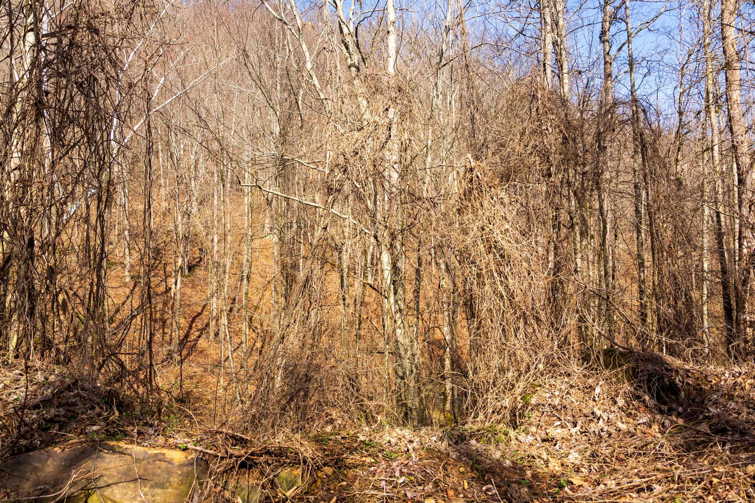 Blackstone Mountain Phase II Tract 69 photo 2