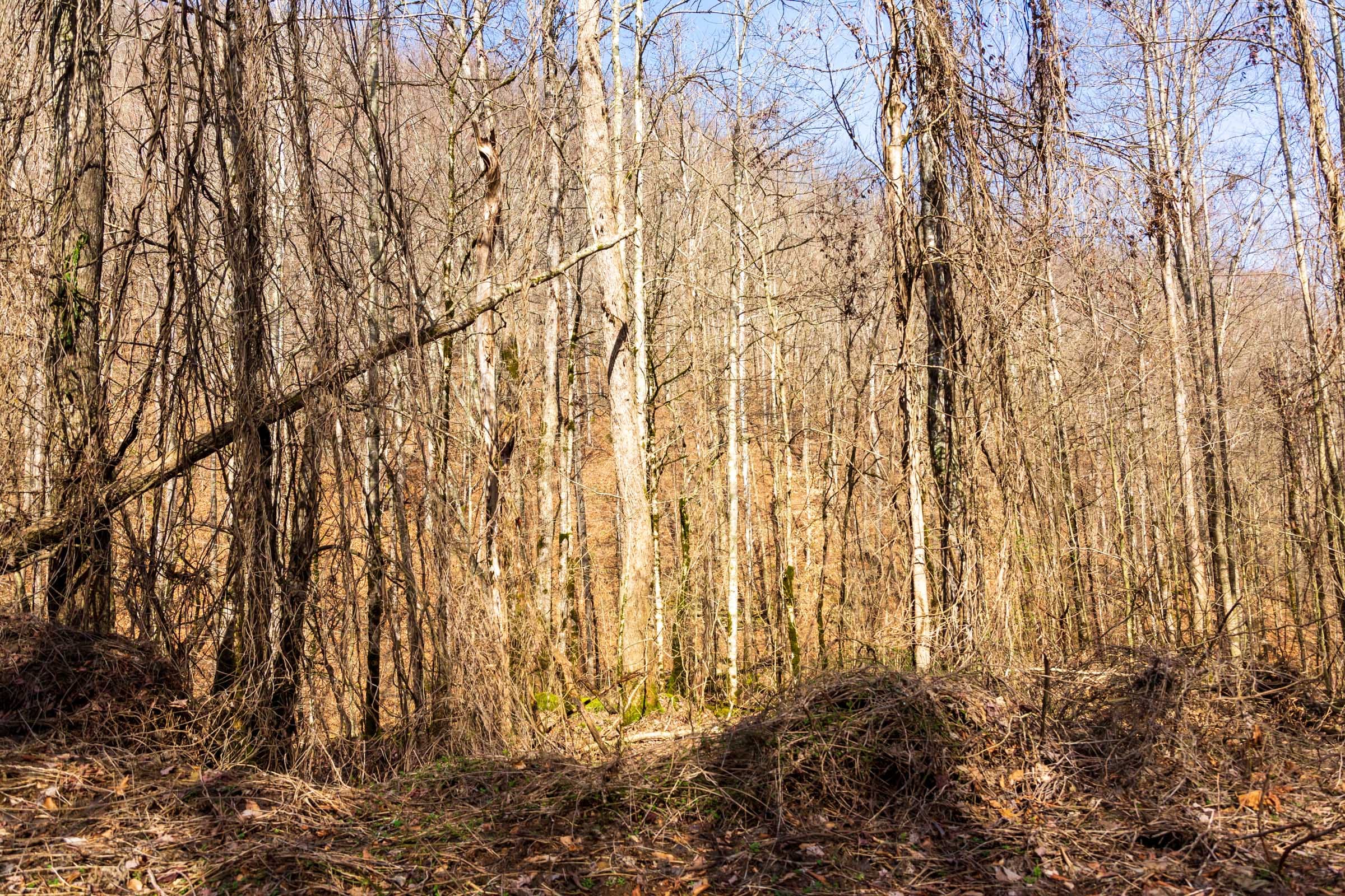Blackstone Mountain Phase II Tract 69 photo 3