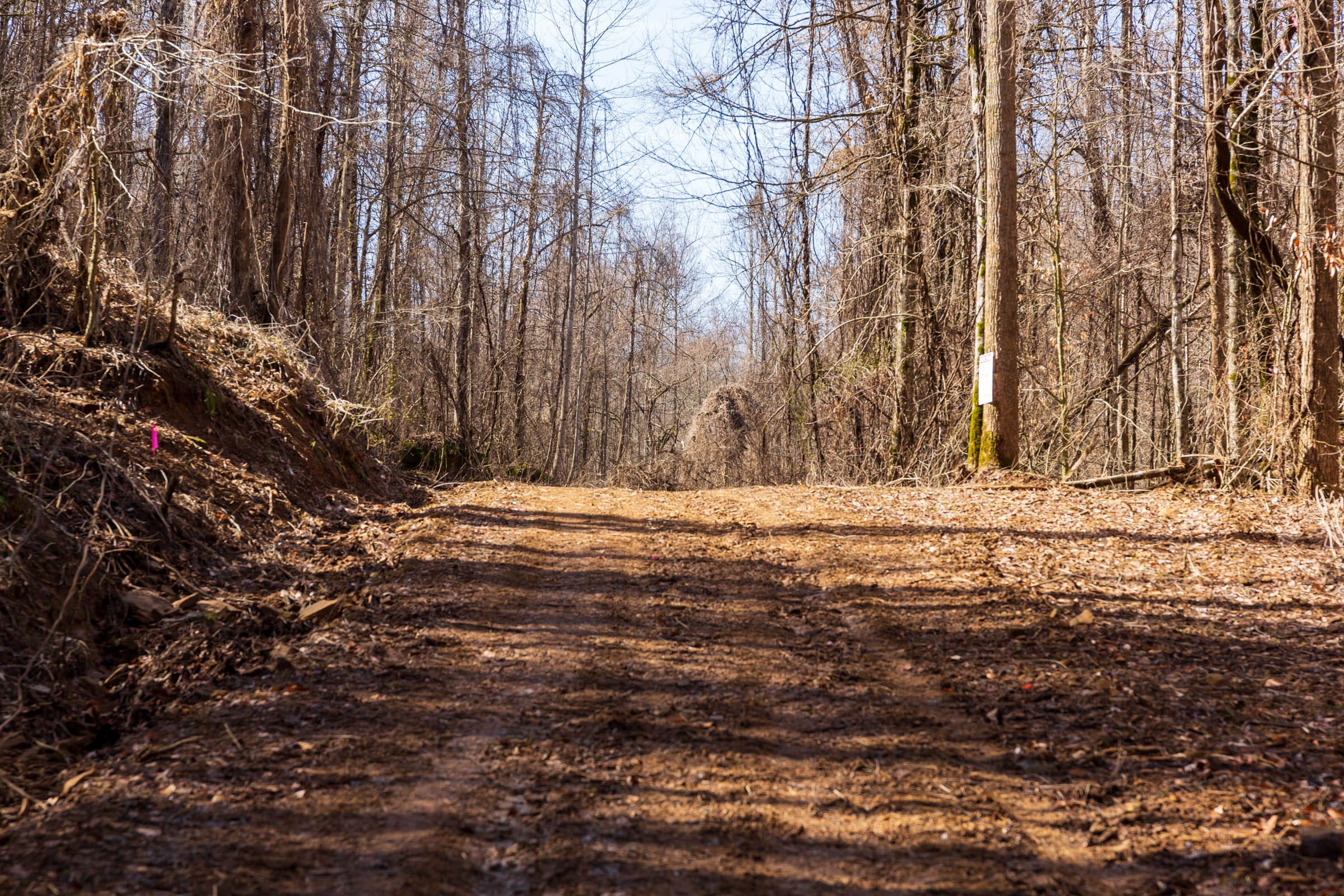Blackstone Mountain Phase II Tract 69 photo 10