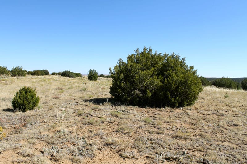 Black Diamond Park Tract 4 photo 2