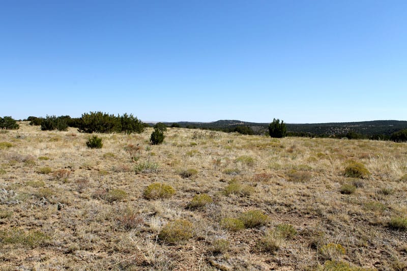 Black Diamond Park Tract 4 photo 5